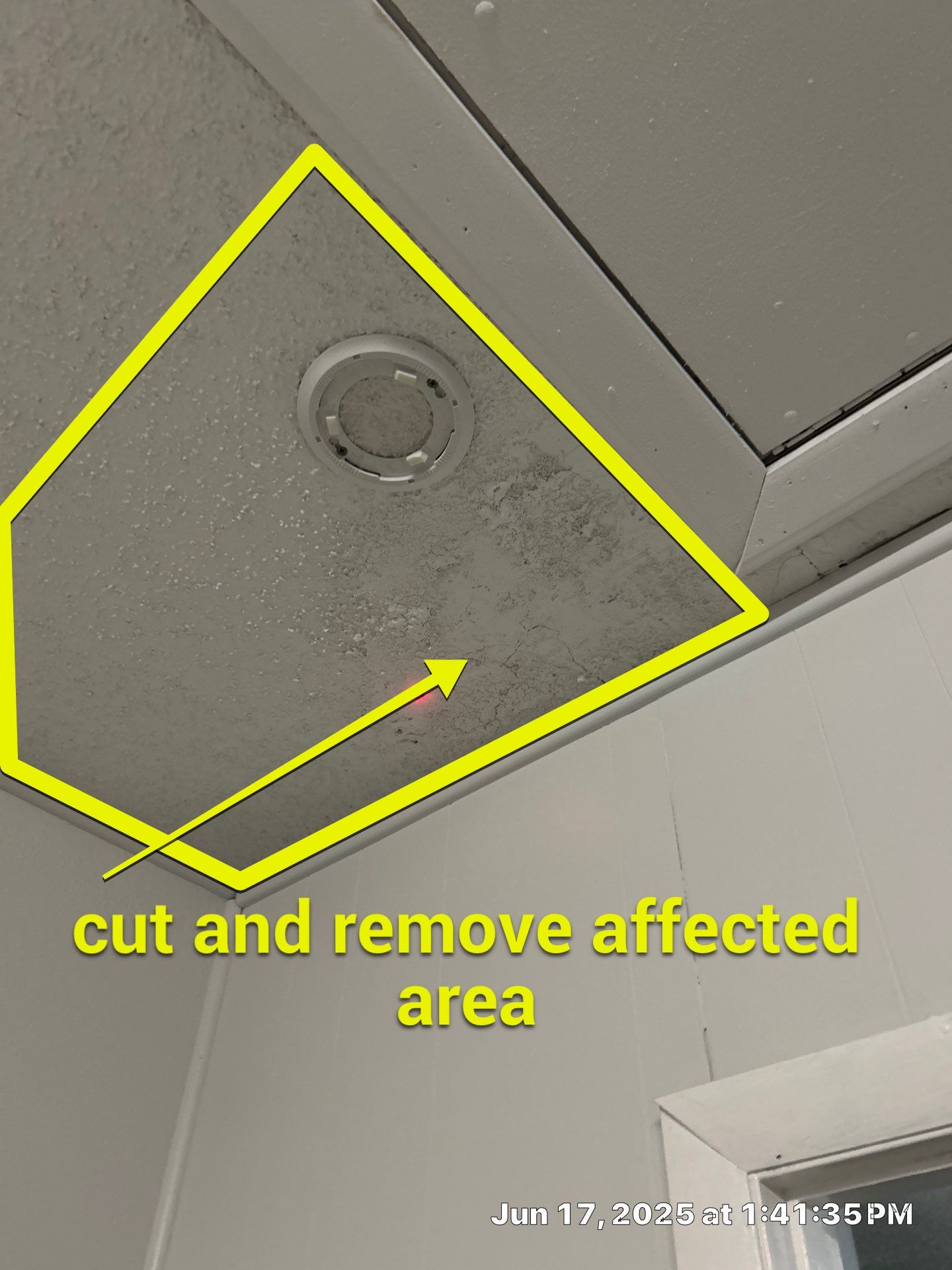 Mold Removal In Sarasota Florida by Ampm Restoration Services