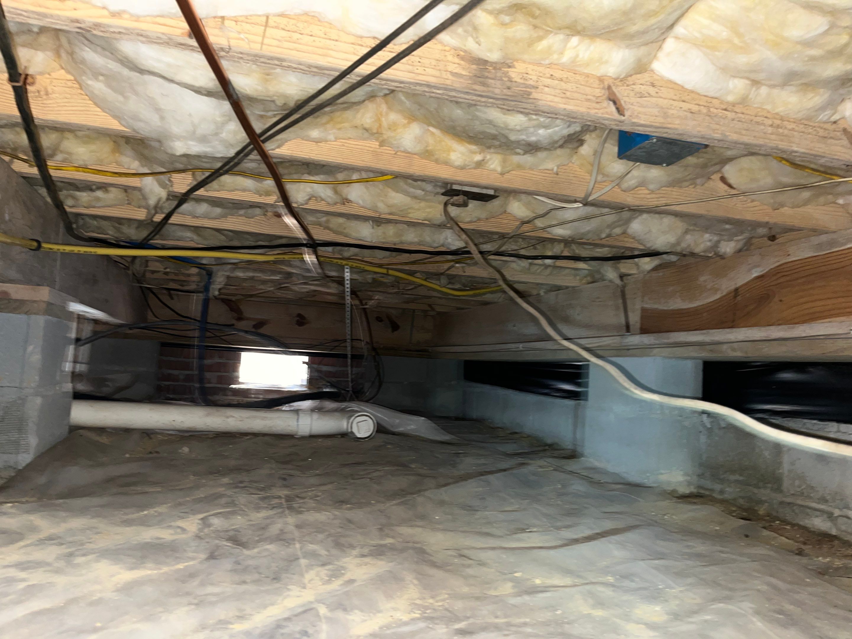 Impact Choice Encapsulation with French Drain, Mold Removal, and Crawlspace Door by Impact Crawlspace