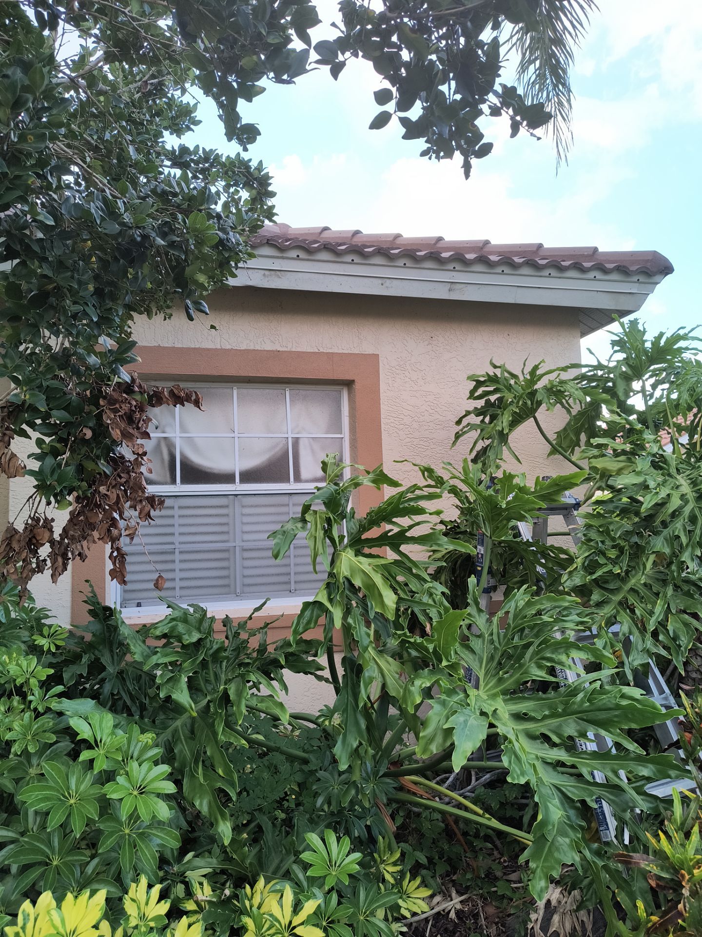 7 inch seamless gutters using K-Style Seamless Gutters in Sarasota FL by Gutter Professors