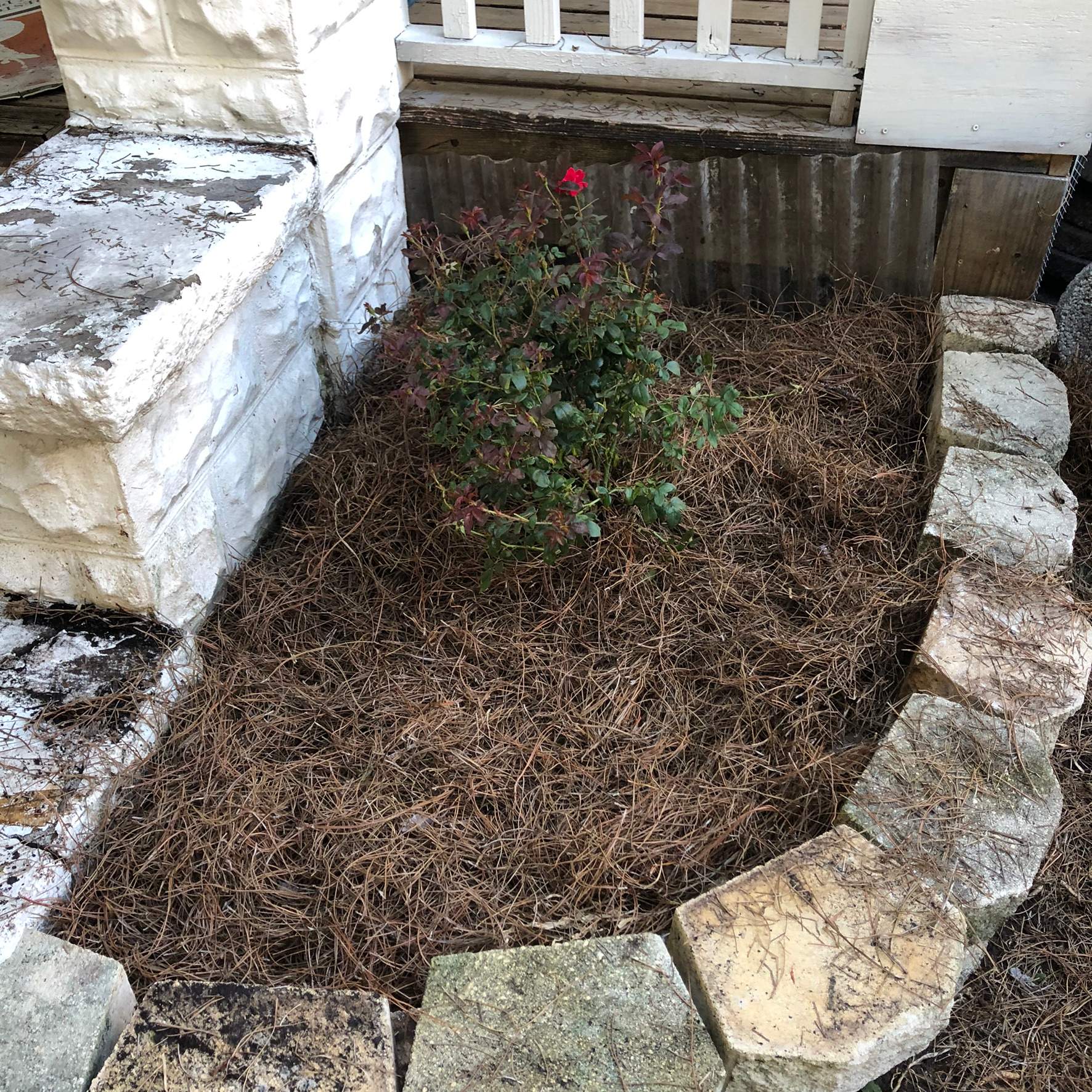 Extreme Clean Up - Landscape Install | Residential by ProGreen Services