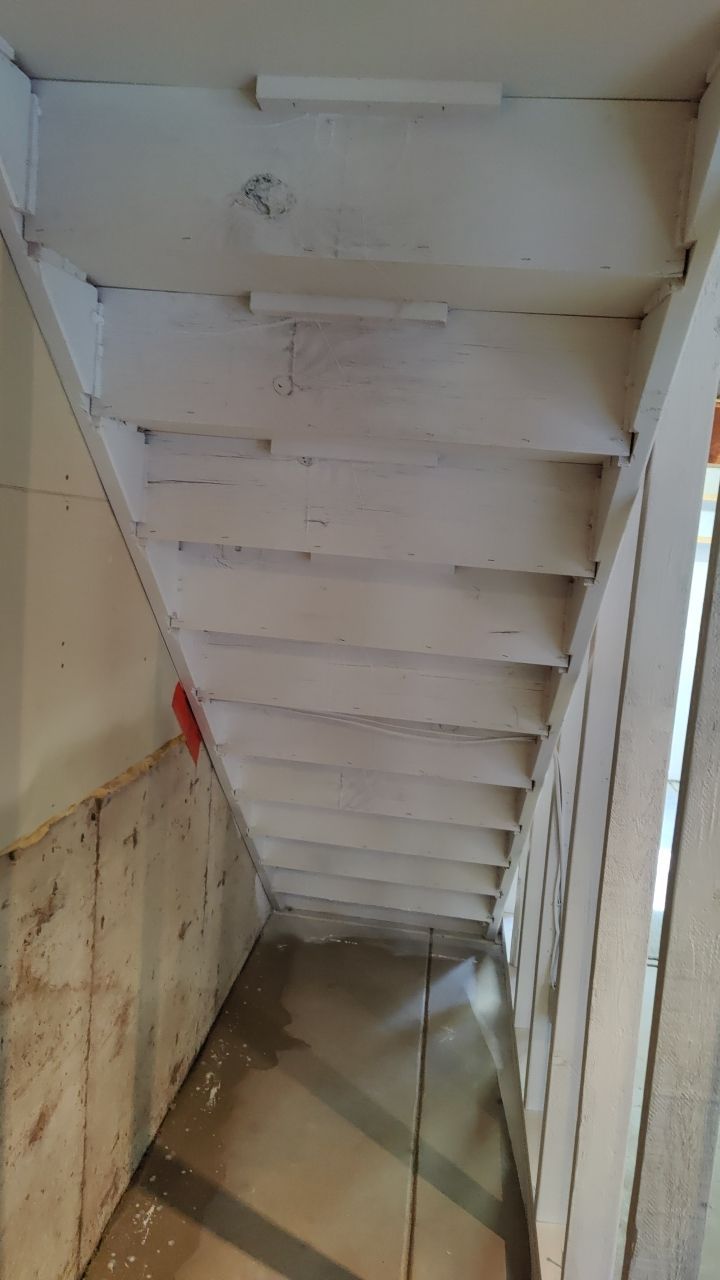 Mold Damage by Accountable Home Services