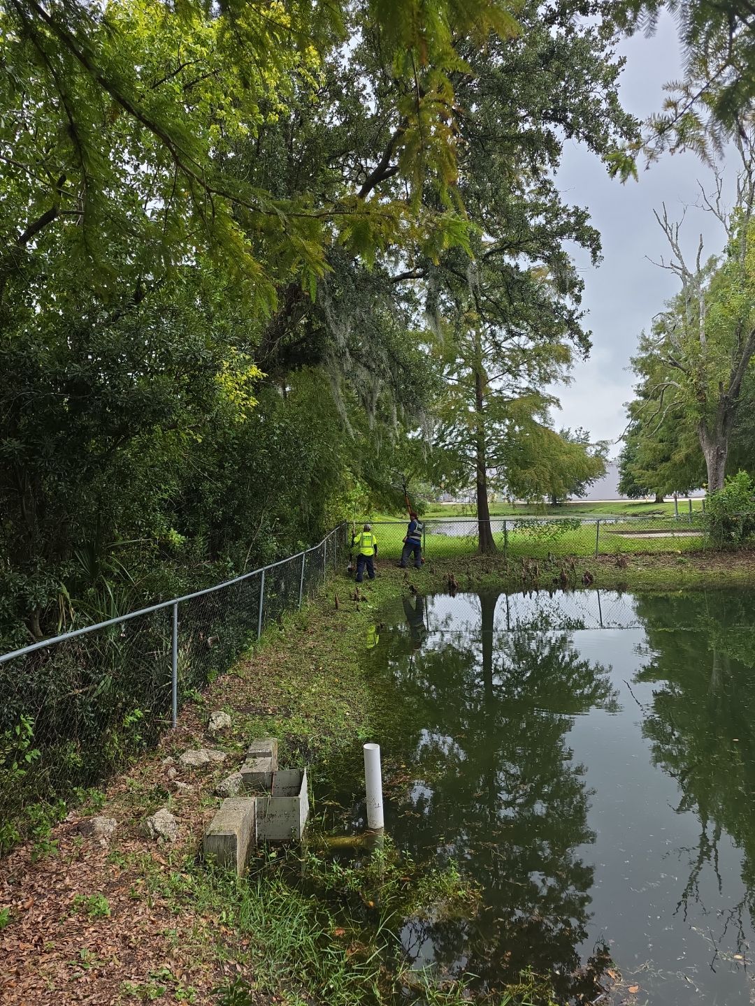 Commercial Property | Tree Removal & Trimming by ProGreen Services