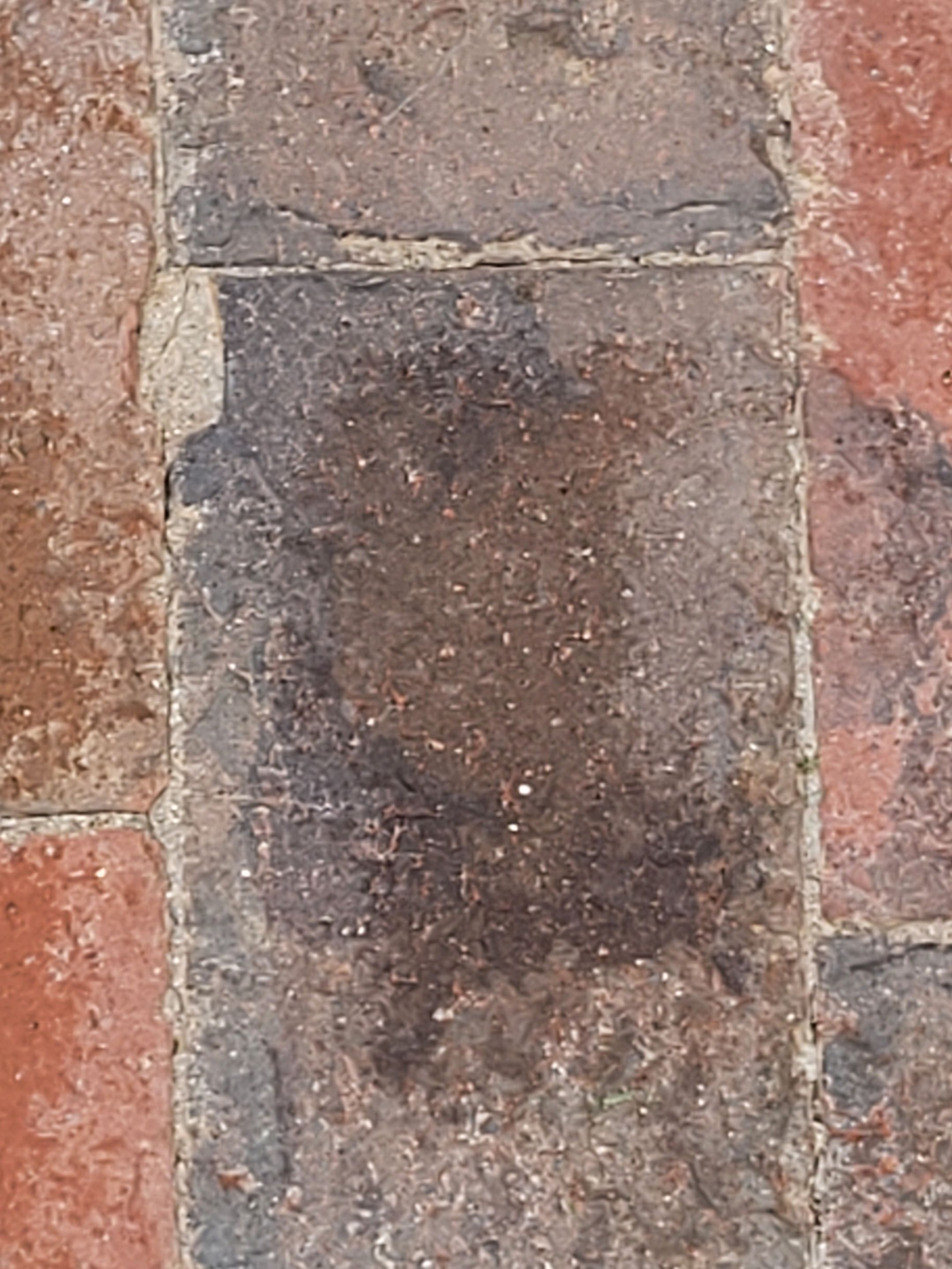 Pavers using Concrete Sealant by DuraSeal