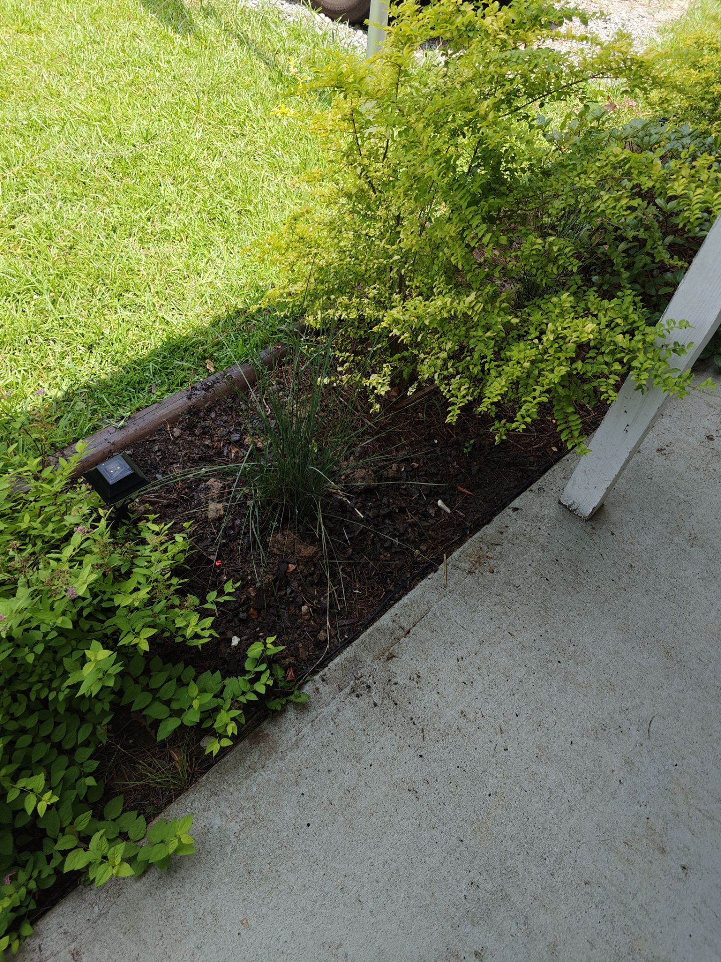 Weekly Landscaping  by College Bros Outdoor services