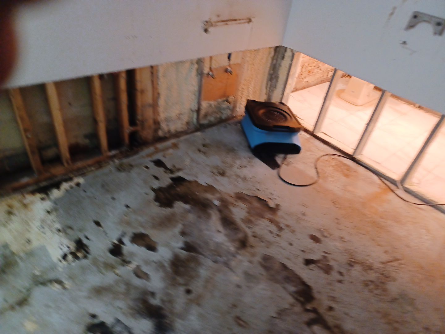 Project in Dearborn by EzDry Water Mitigation & Property Restoration