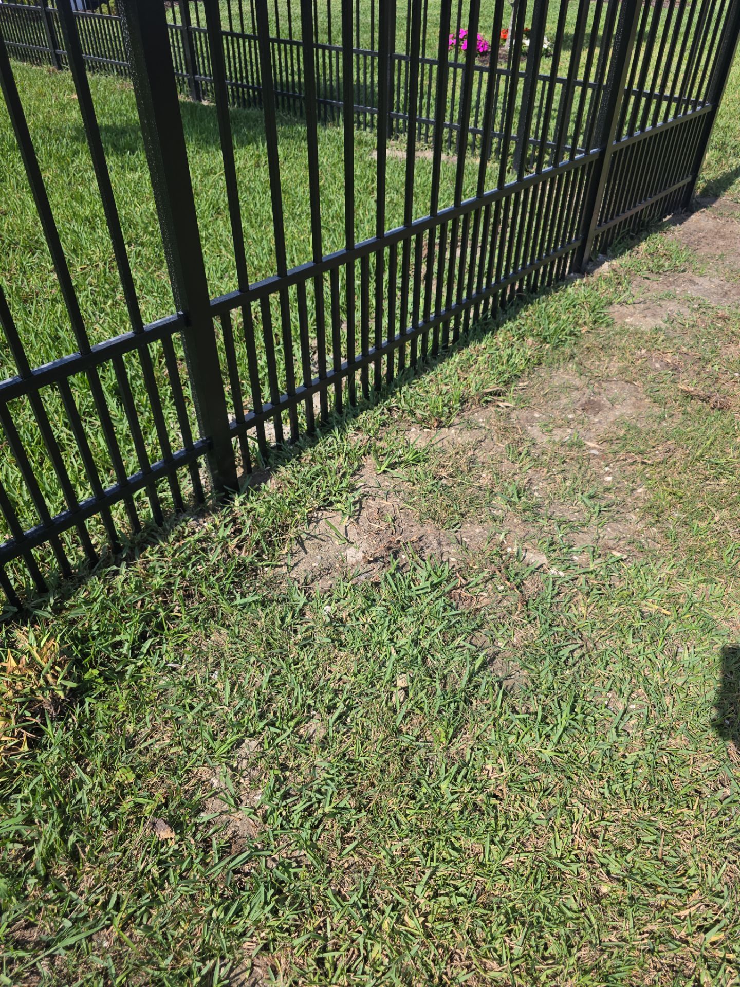 Puppy Picket Aluminum in Venice by True Fence LLC