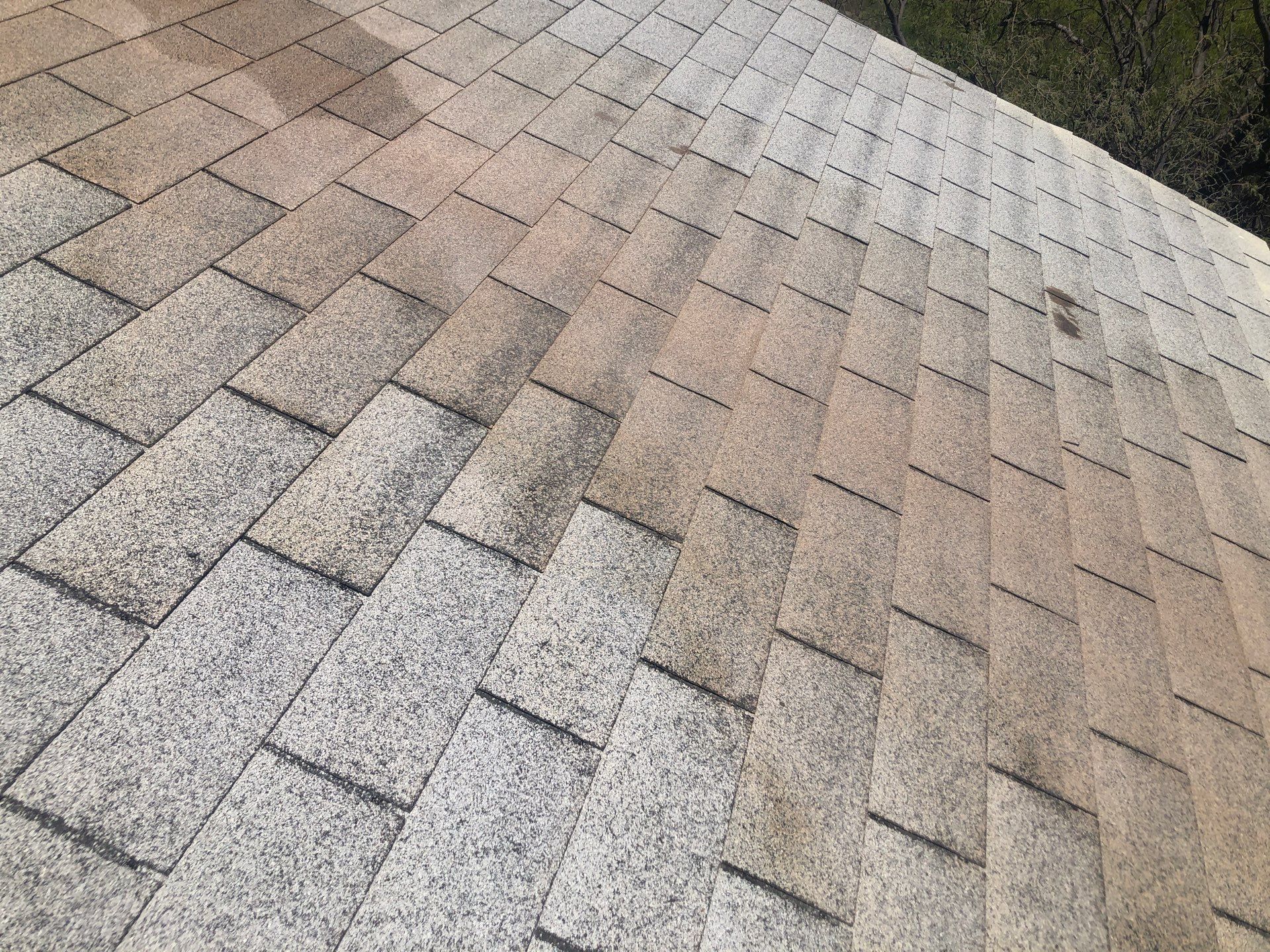 Dove Gray Shingles by Reimagine Roofing