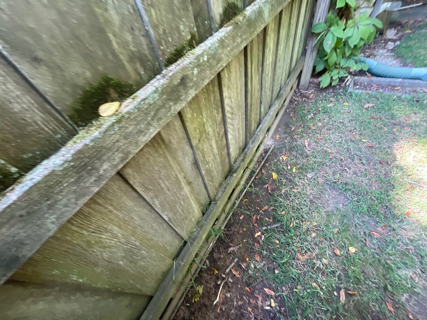 Seabreeze Roof Replacement, Exterior Siding and trim repairs and paint by 317 Roofing & Restorations