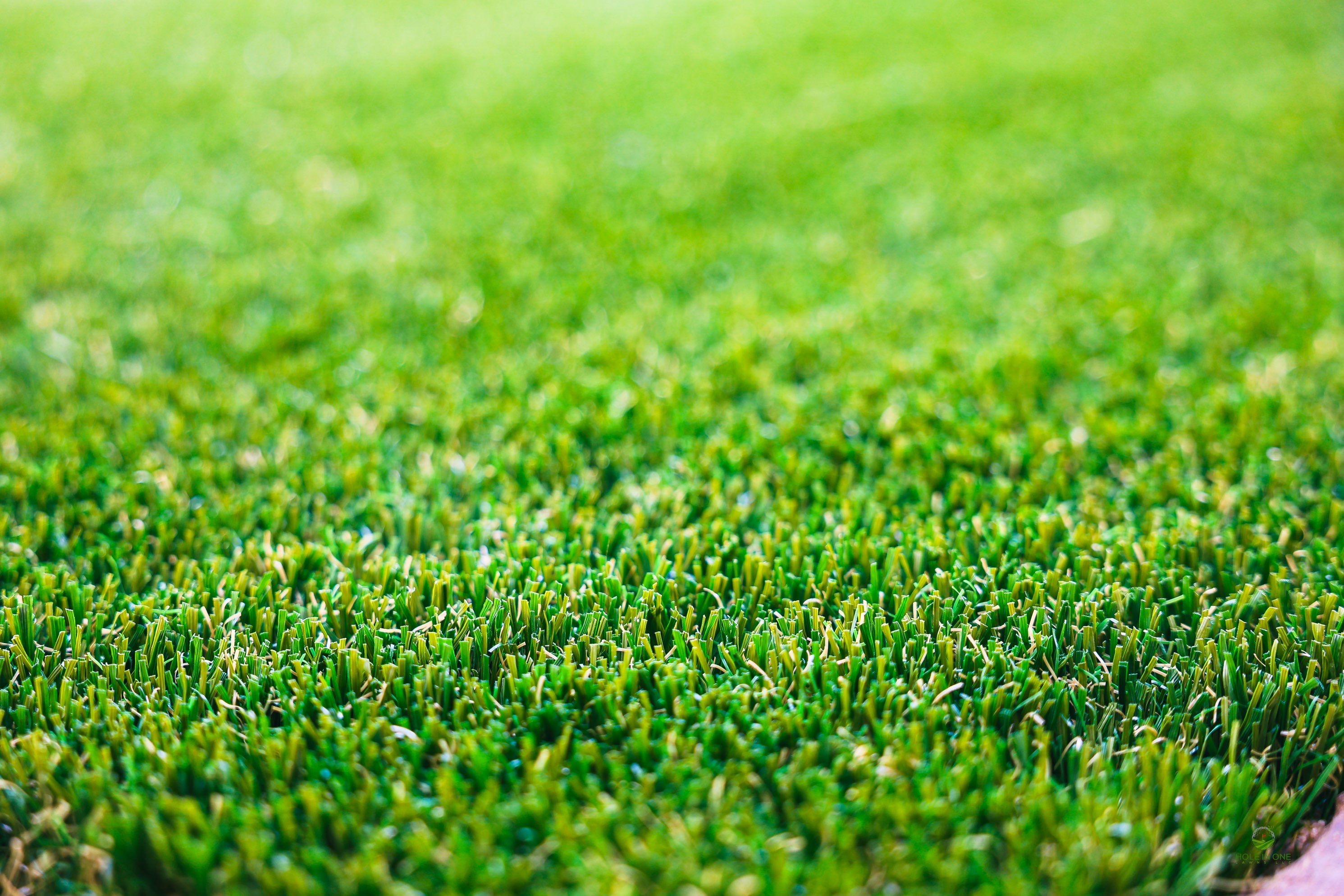 Wortham Oaks, San Antonio Tx. by Hole In One Lawns, LLC