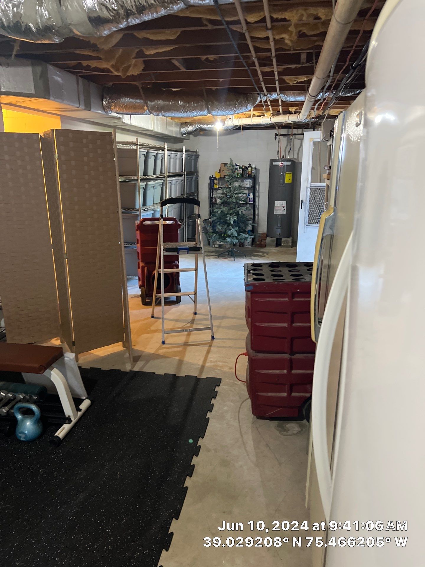 Basement Mold Remediation by Healthy Home Solutions