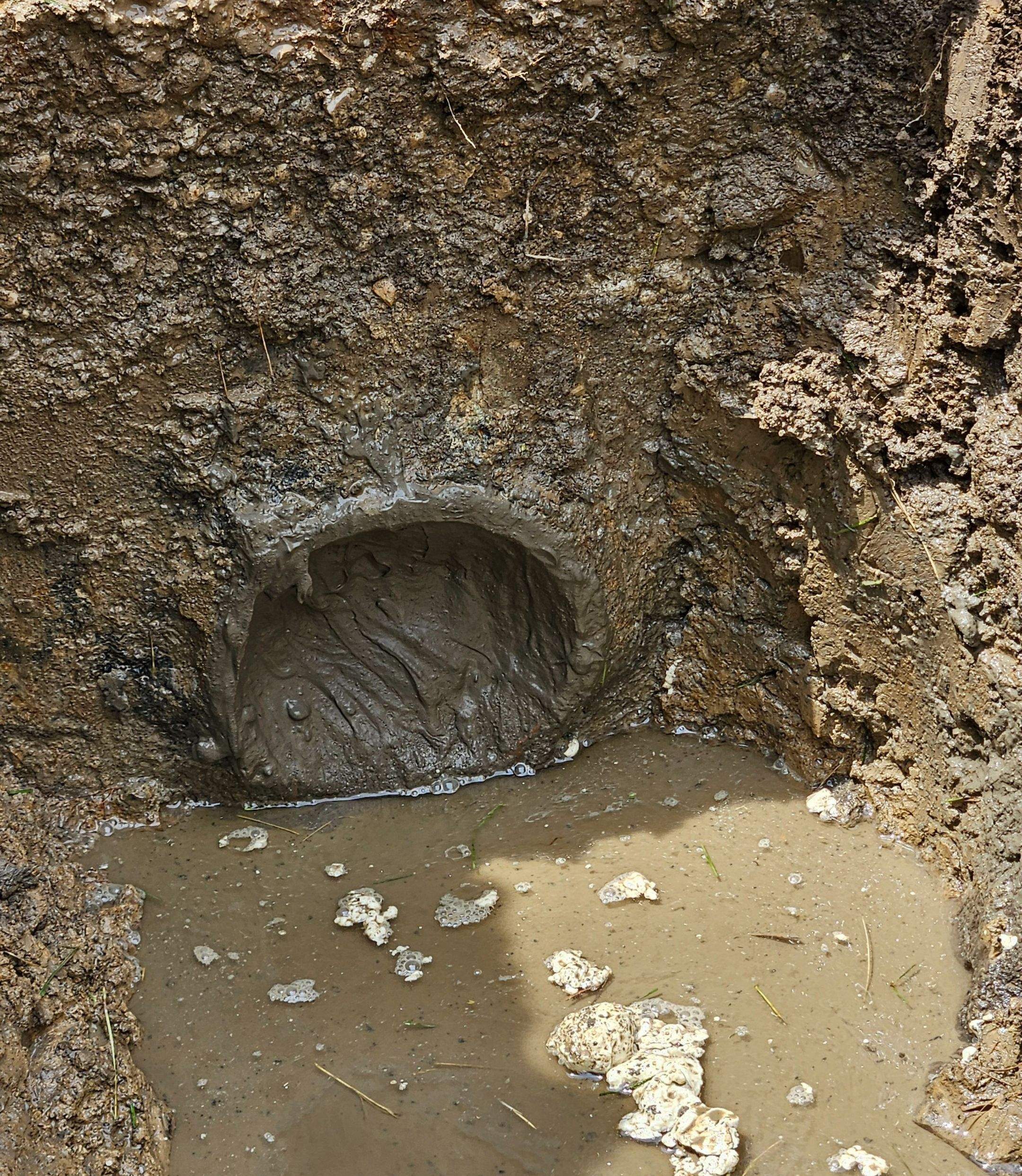 Septic System Installation with Aeration System and Chambers by Allied Water Services
