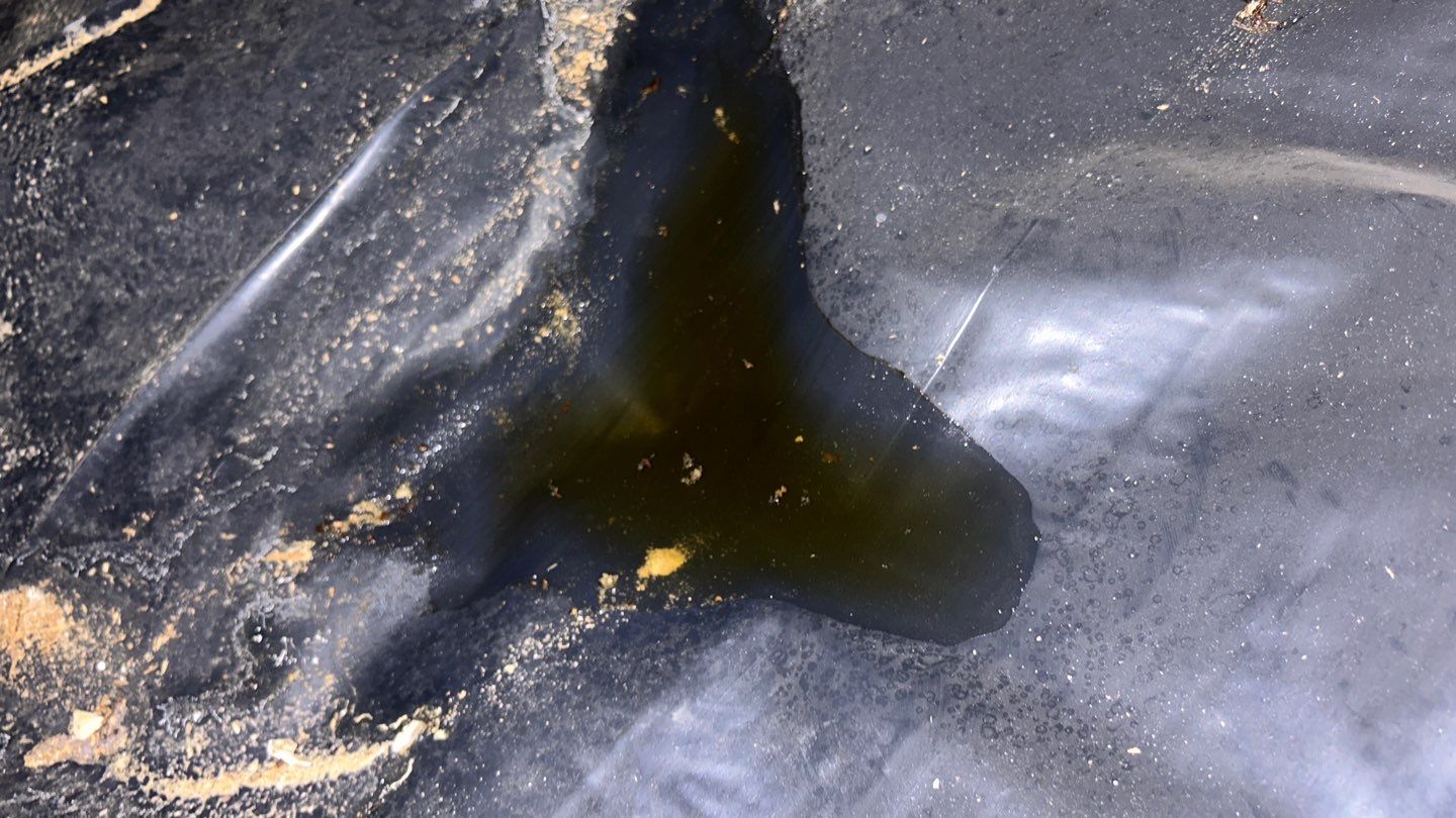 Mold Damage by Accountable Home Services