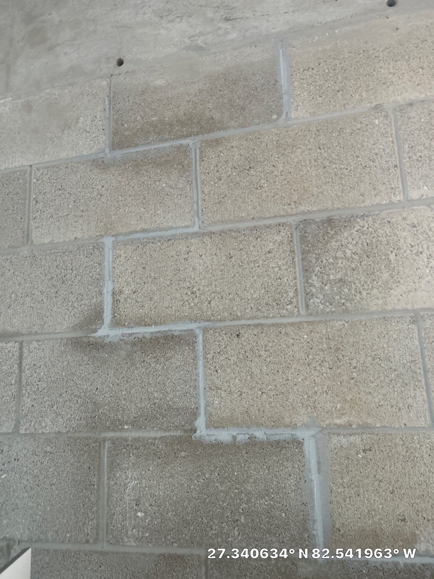 Commercial Mold Removal  by Ampm Restoration Services 