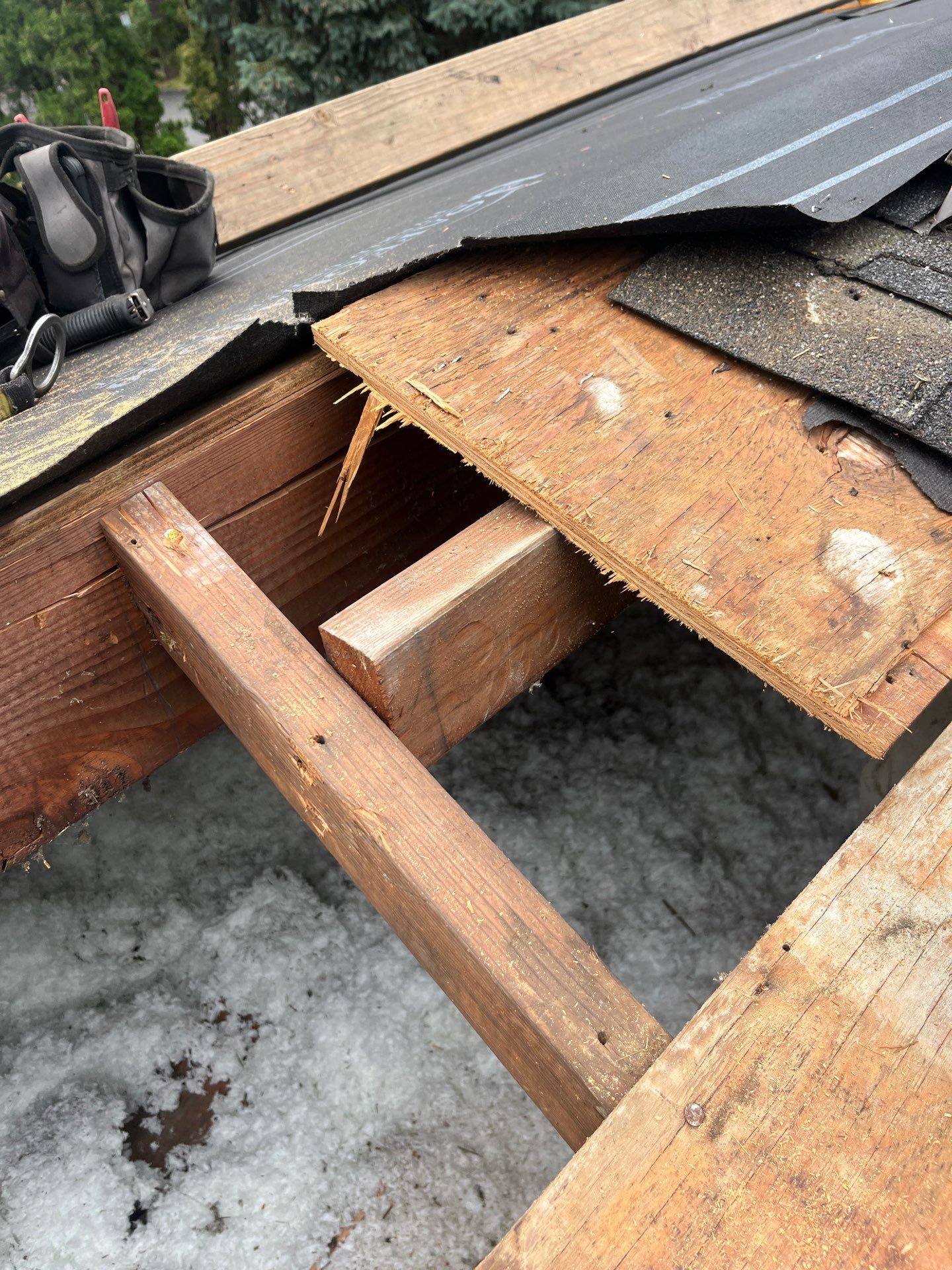 Project in Portland by Tom Leach Roofing