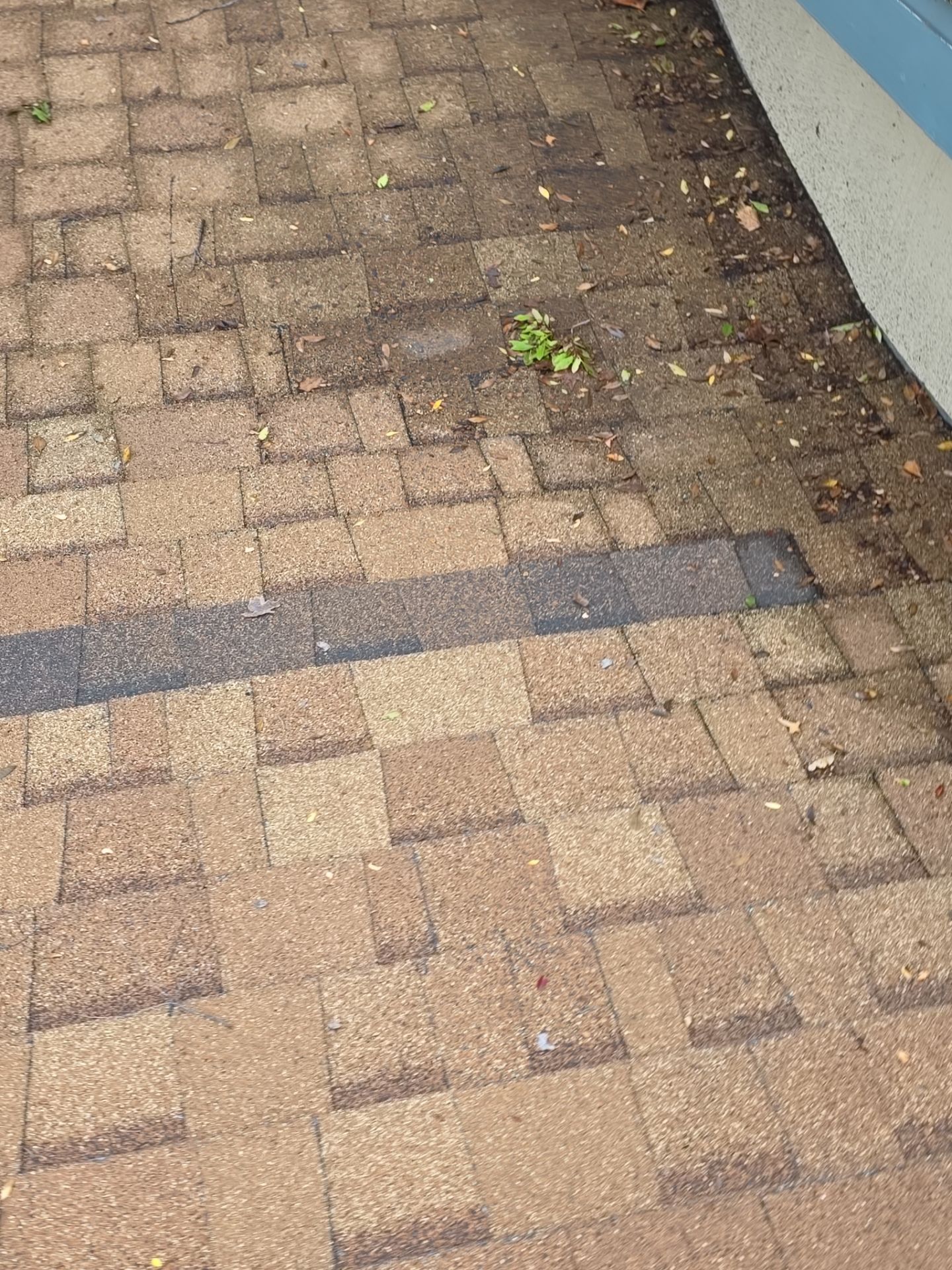 Roof Rejuvenation using Roof Maxx Treatment by Roof Maxx of Folsom