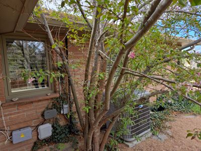 Project in Littleton