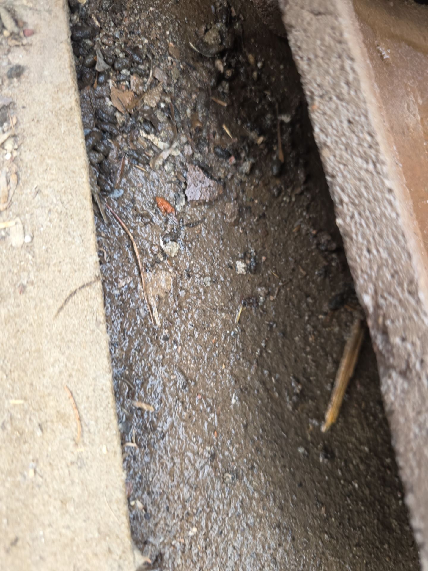 Protect Your Investment: Arizona Roofing Company's Expertise at Work! by Weather-Tite Roofing