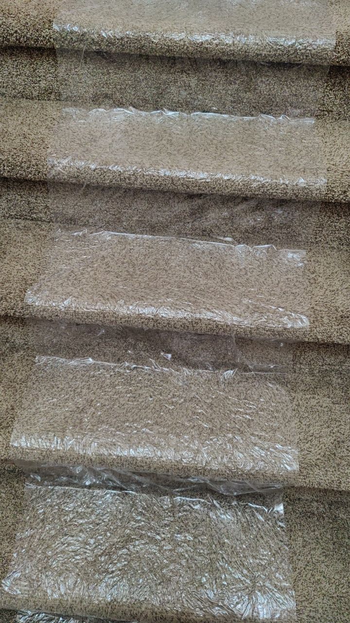 Water Damage  by Accountable Home Services