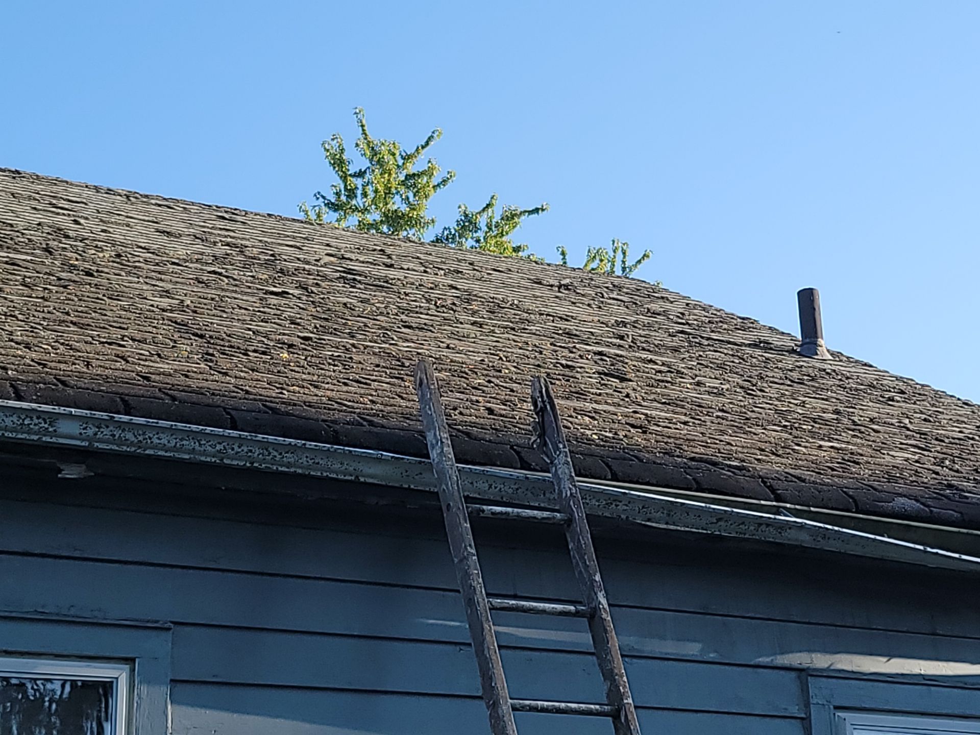 Shaun H: Atlas Pinnacle, Color, Black Shadow, Drip Edge, Color, Black by Eagle Eye Roofing