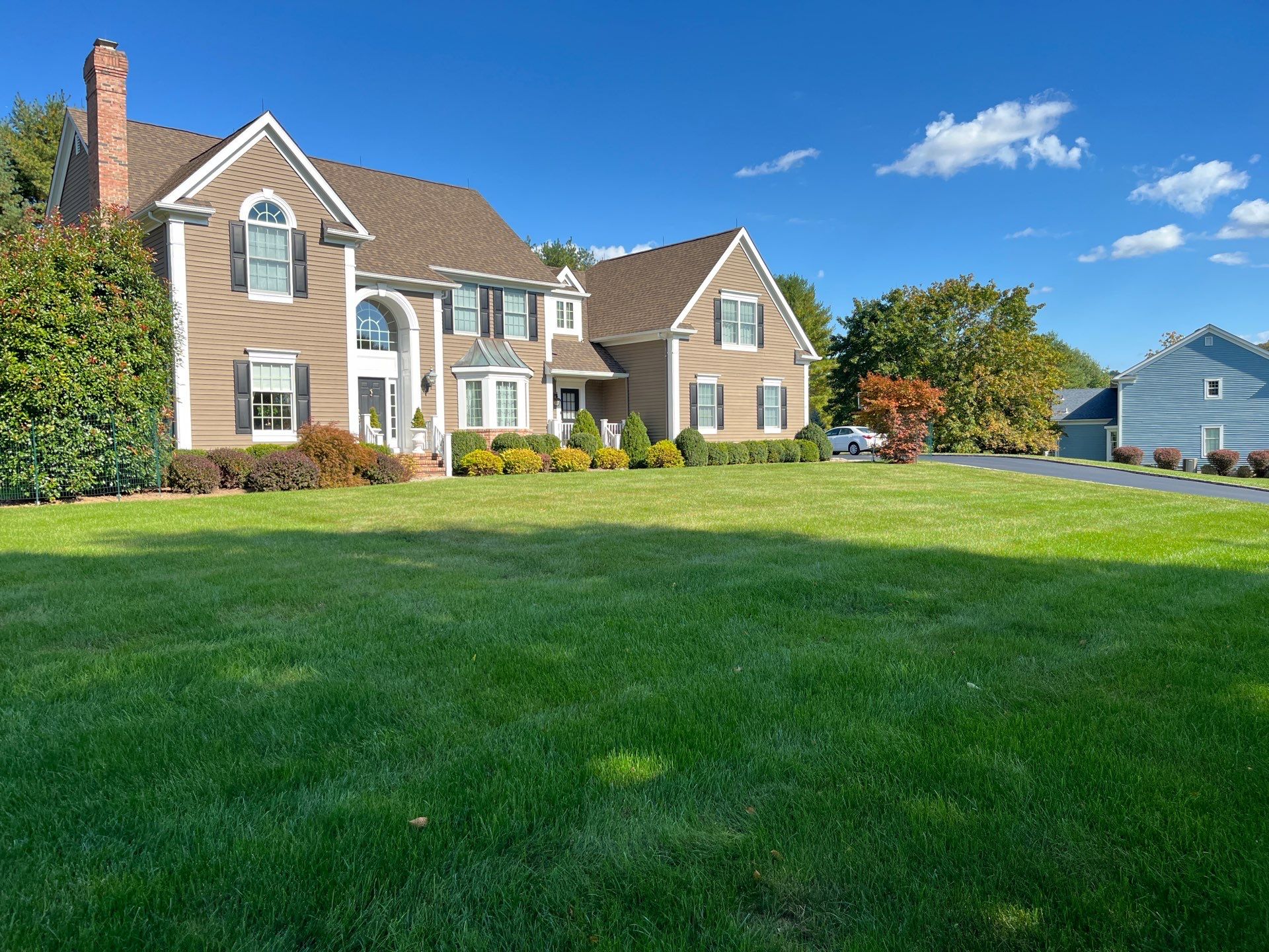 Comprehensive Ornamental Shrub Care in Peapack by Ants Plants