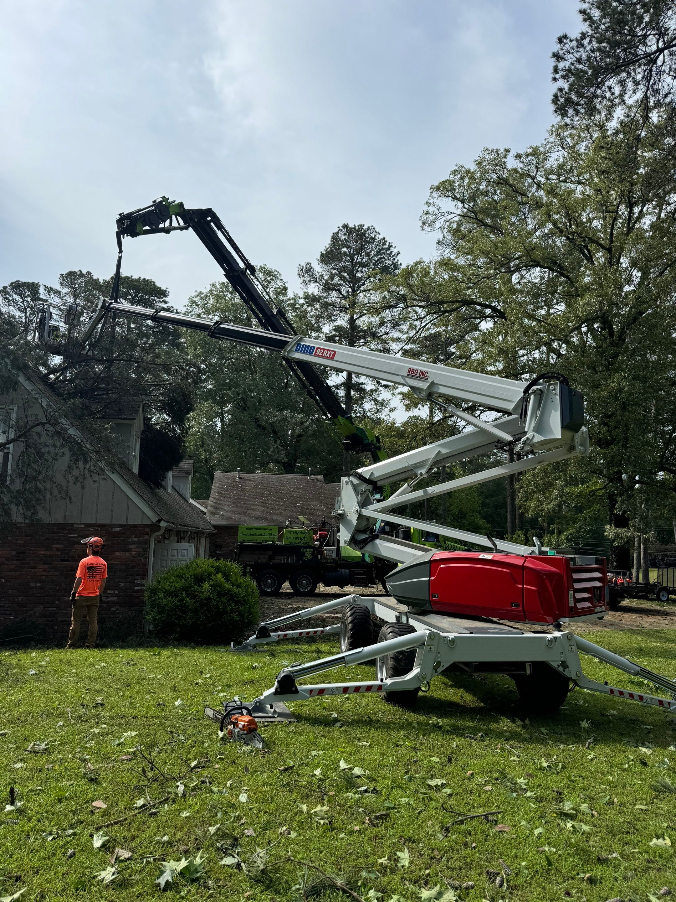 Disaster Relief - Uprooted Pine by American Arbor