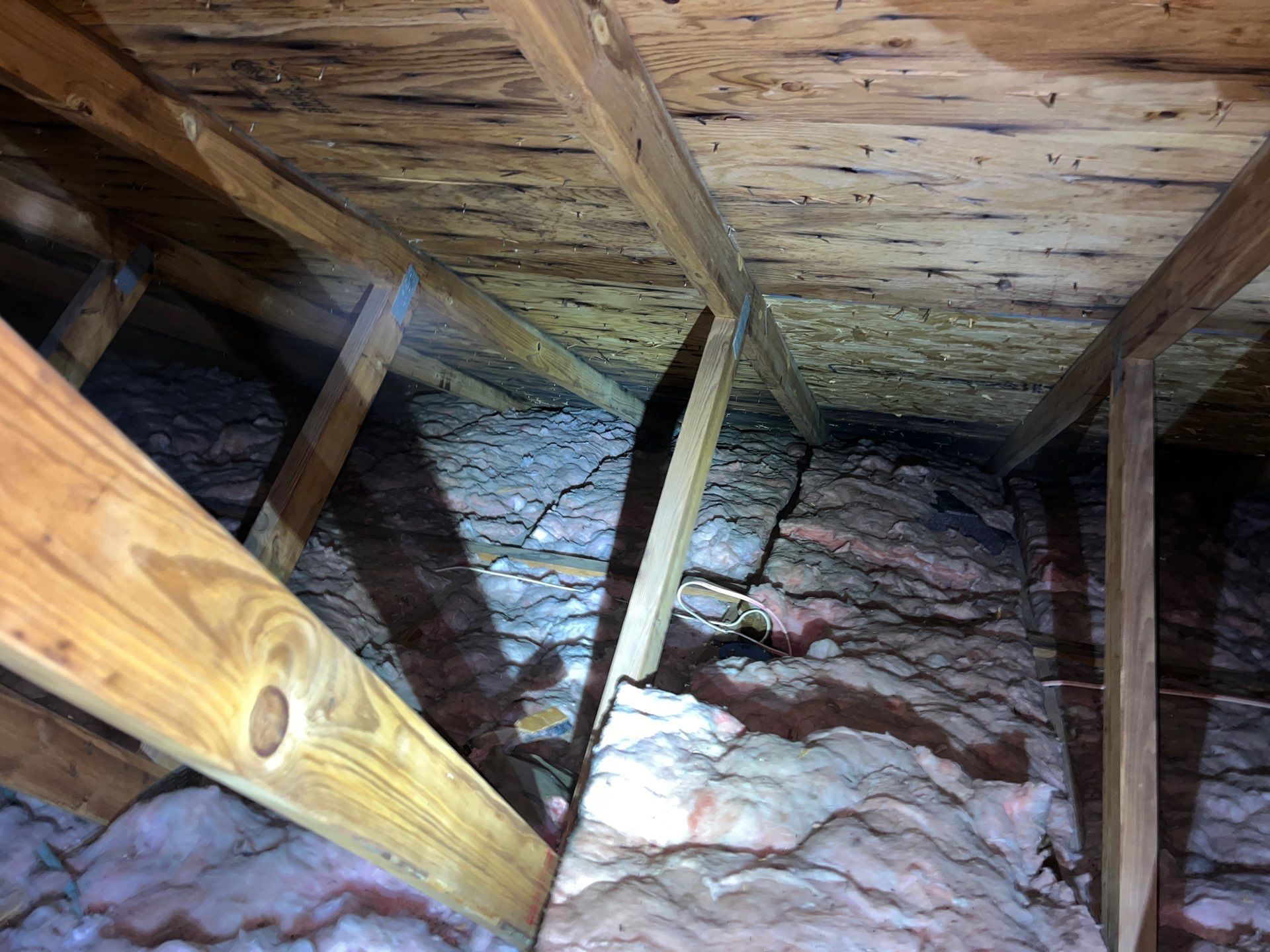 Addressing Attic Mold and Upgrading Insulation in Cranberry Township, PA 16066 by Home Environment Solutions