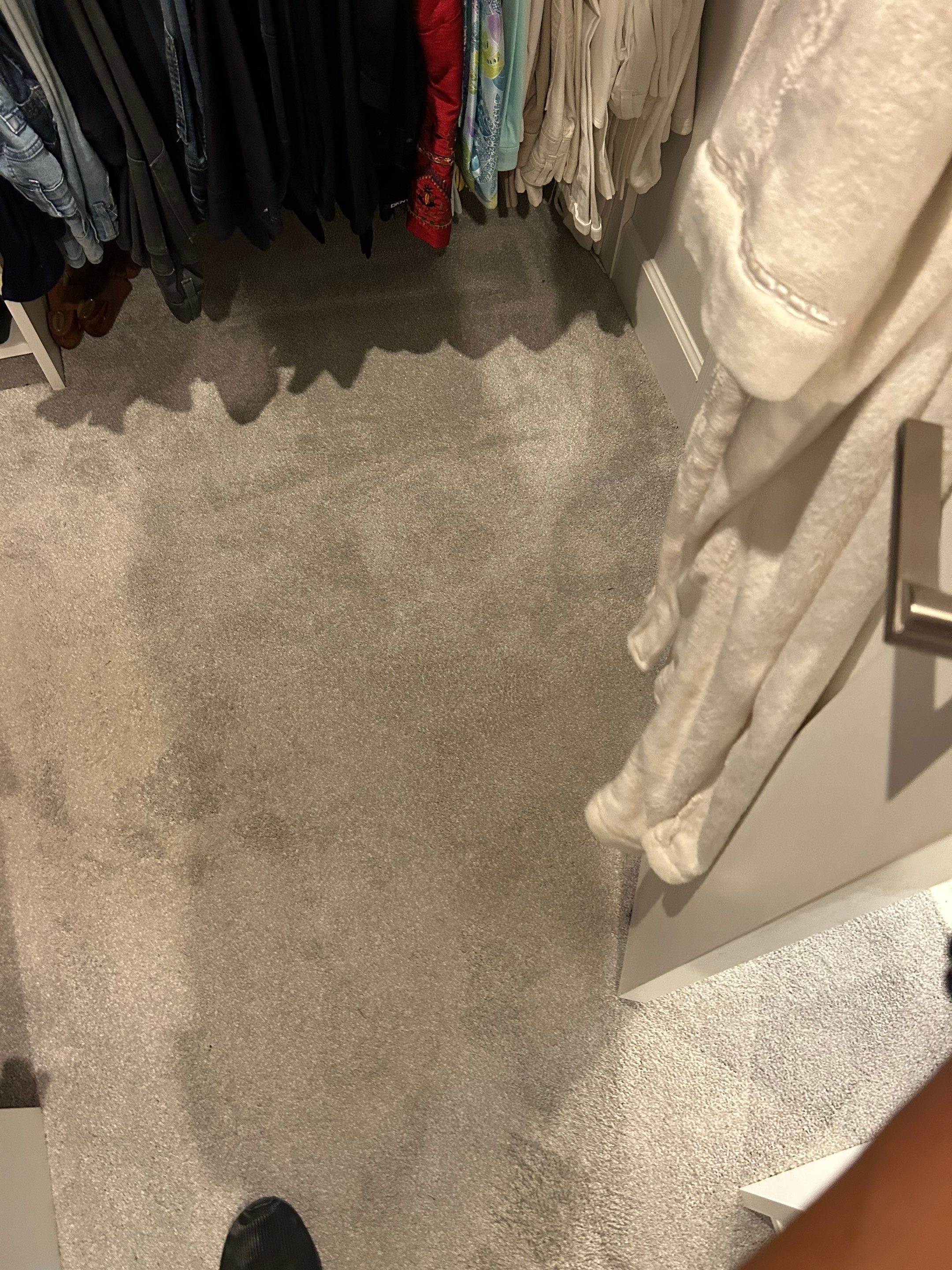 Carpet Demo to LVP by Vrmmm Flooring