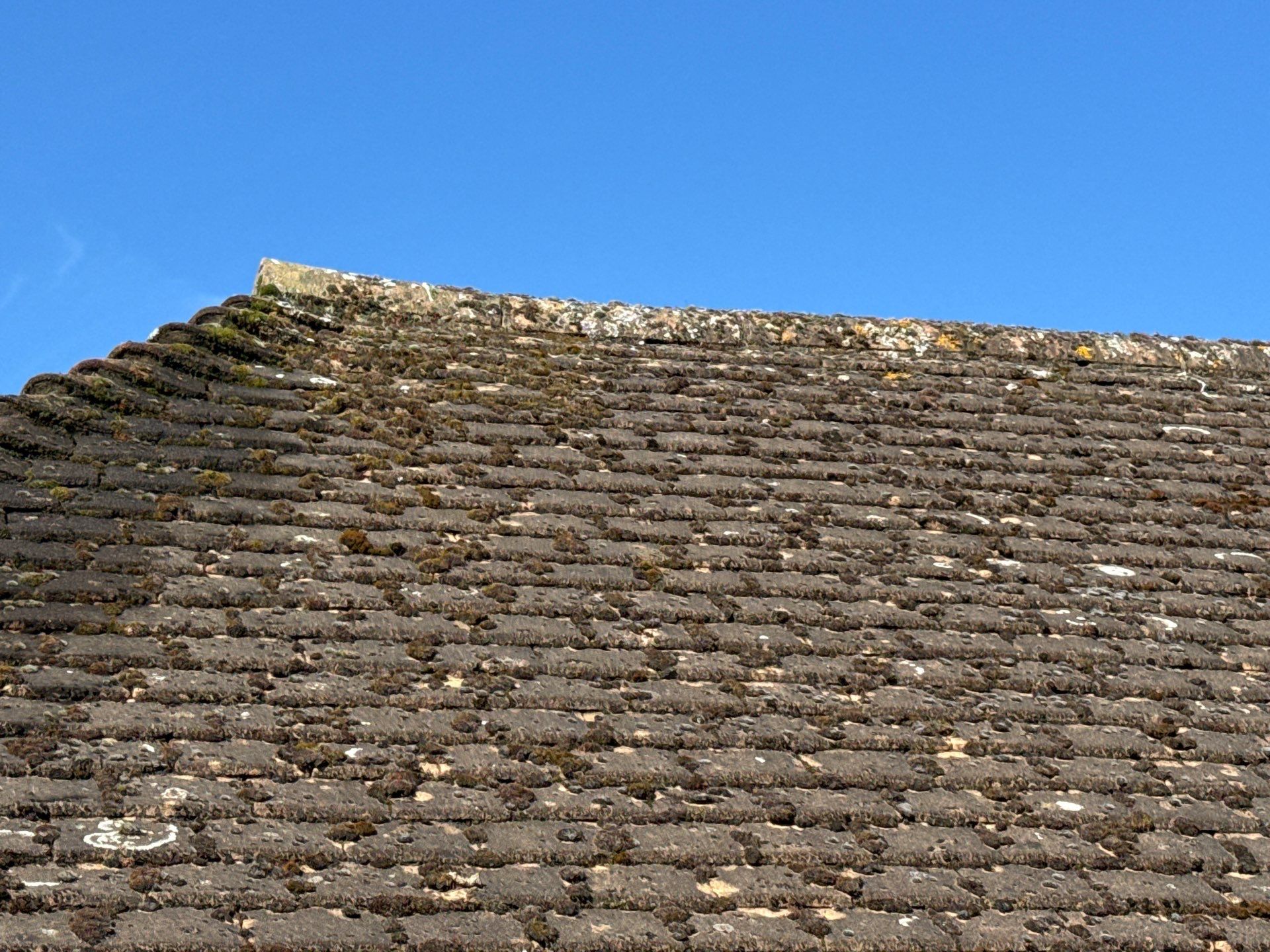 Roof Cleaning Cheam by Ges Exterior Cleaning ltd