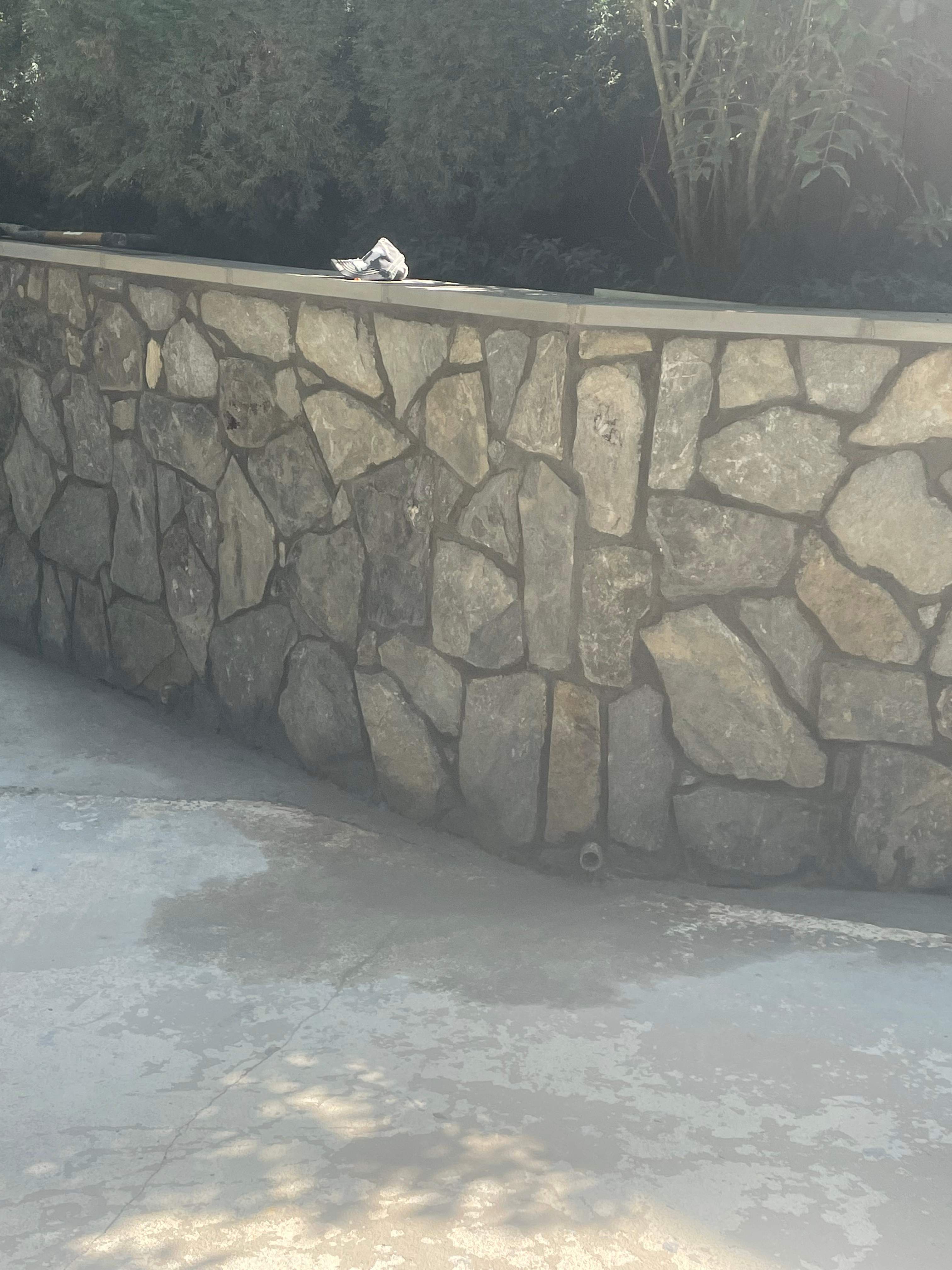 Pool Surround remodel with retaining walls, new waterfall and water slide by Fairfax Contractors, LLC