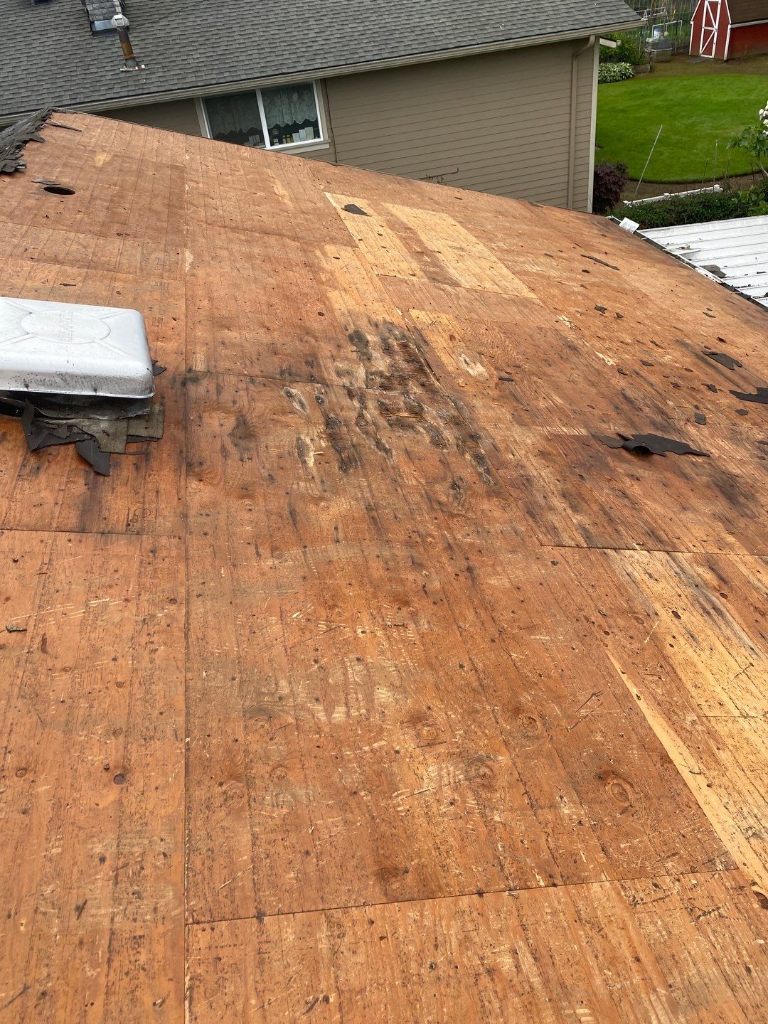 Onyx Black Shingles by Reimagine Roofing