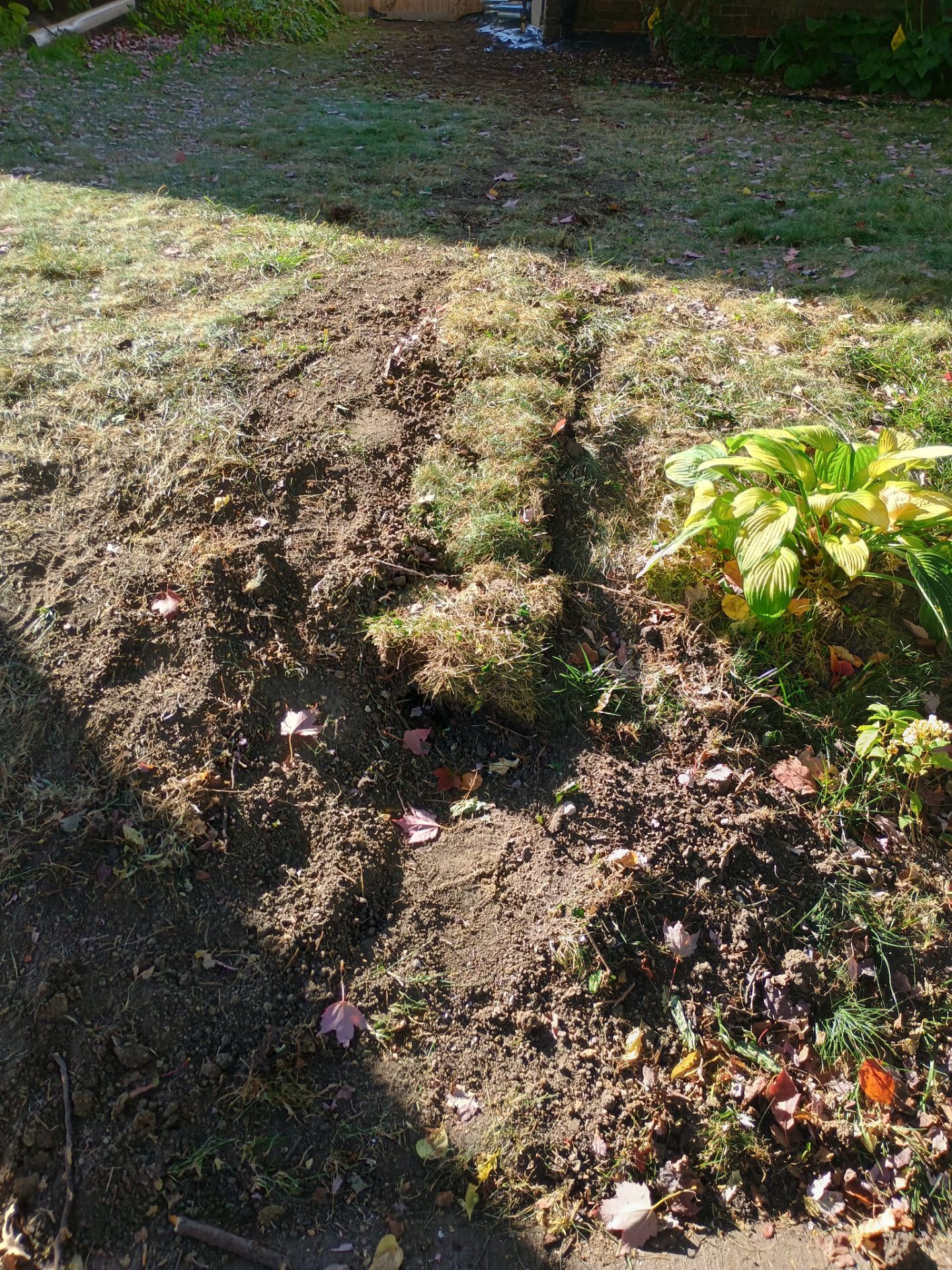 French Drain Installation for Michael by Waterproofing Northeast