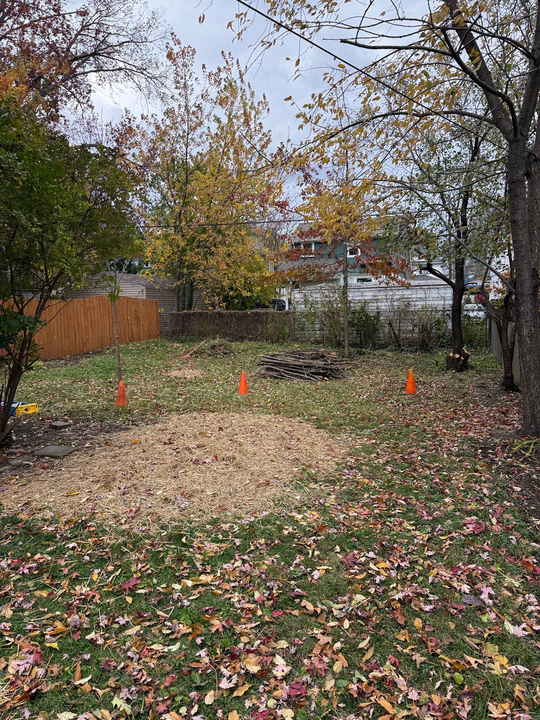 Cottage Maintenance by Elm Rose Gardens