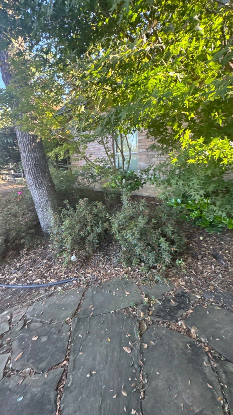 Mr. Jeff — Backyard Drainage & Grading Improvement by Texas Urban Elements