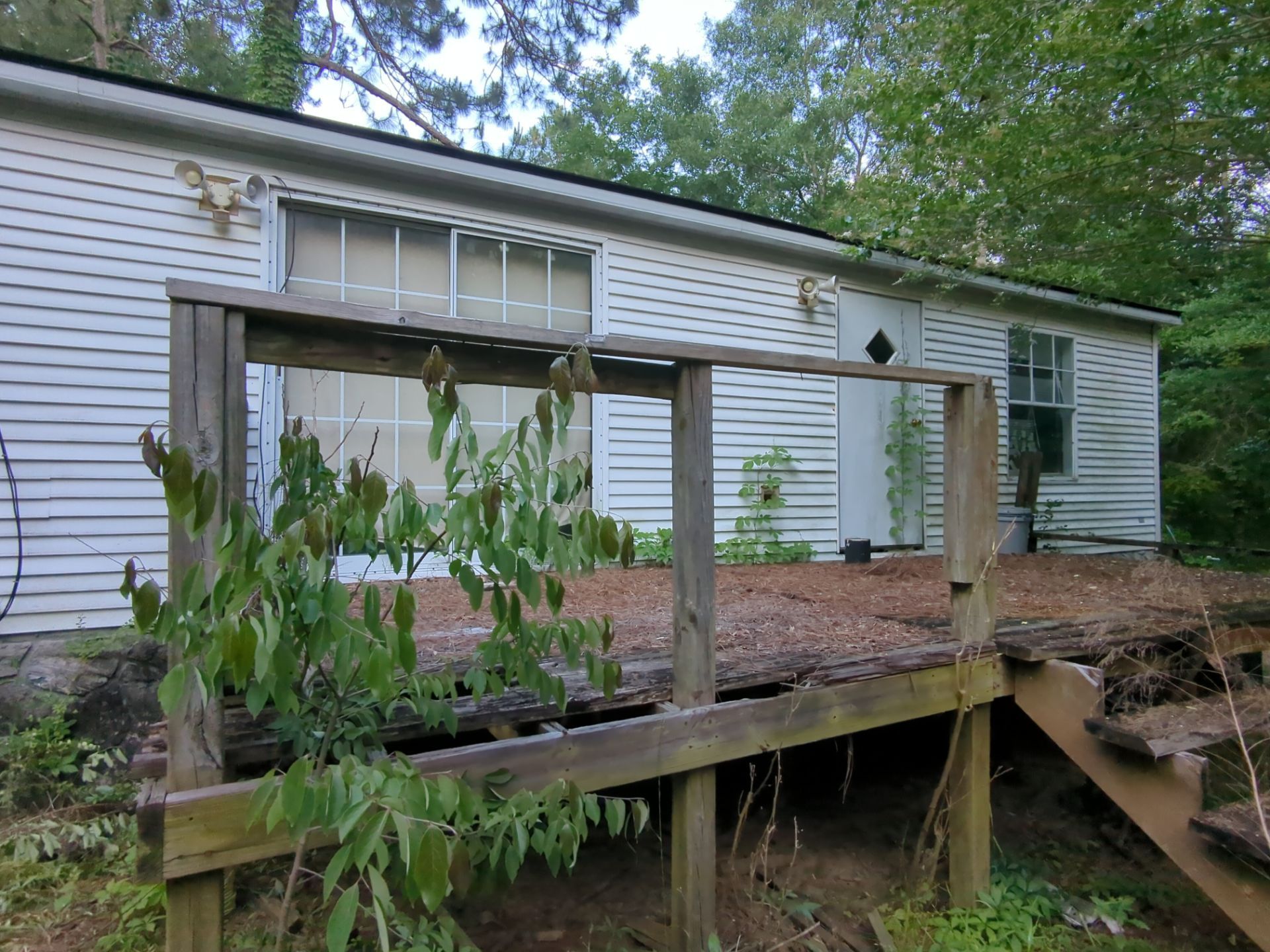 Exterior Clearing - tree trimming - grass cut by Swift Signings and Services LLC