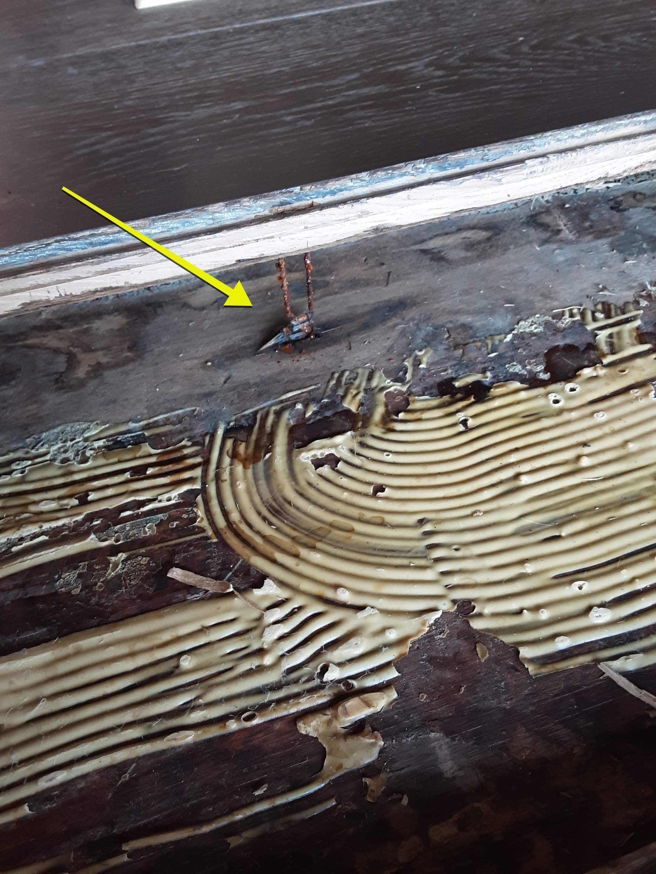 Interior water damage inspection by ASAP Roofing & Exteriors