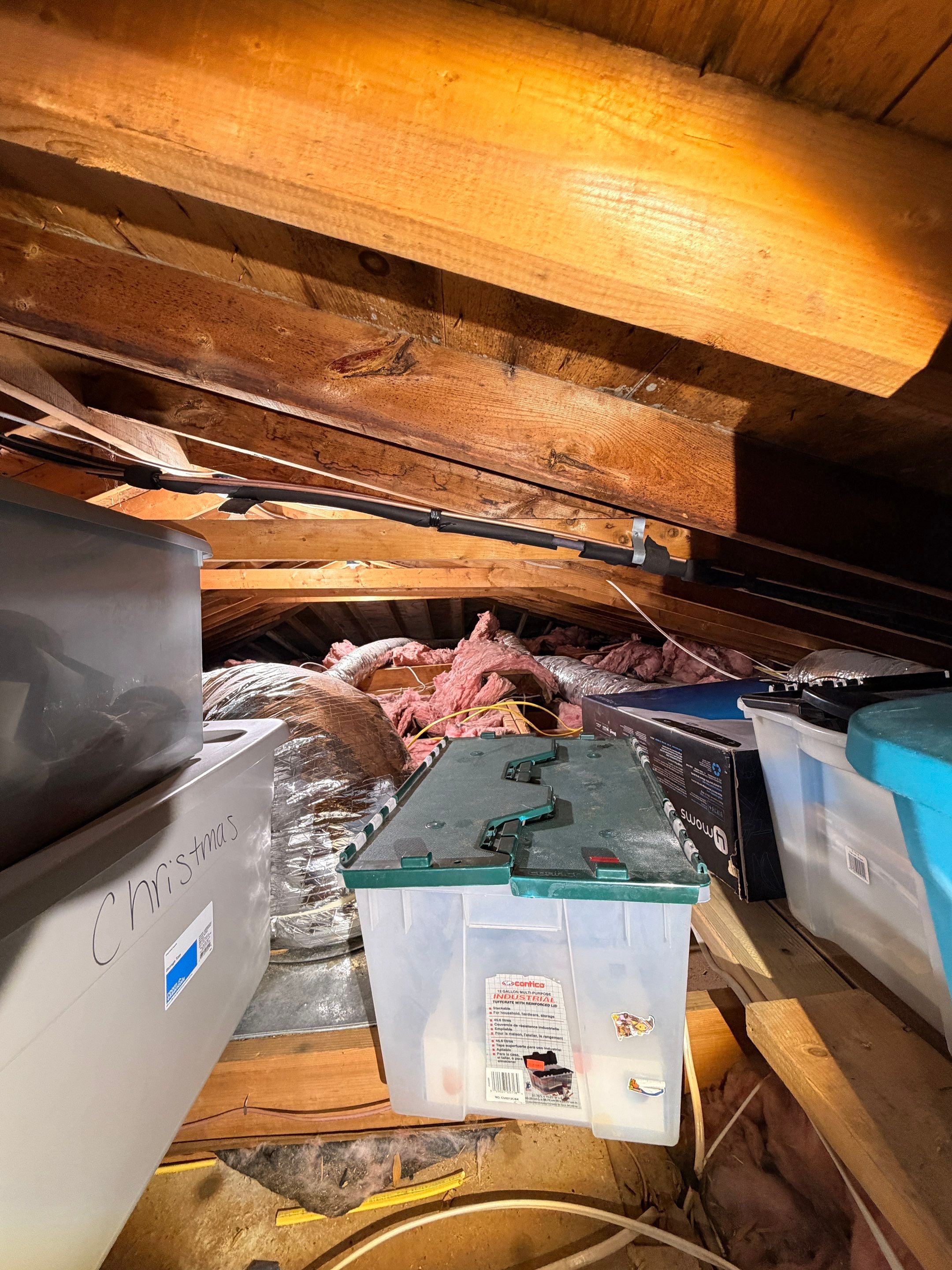Attic Mold Remediation and Insulation Installation in Ronkonkoma by Newhouse Restoration