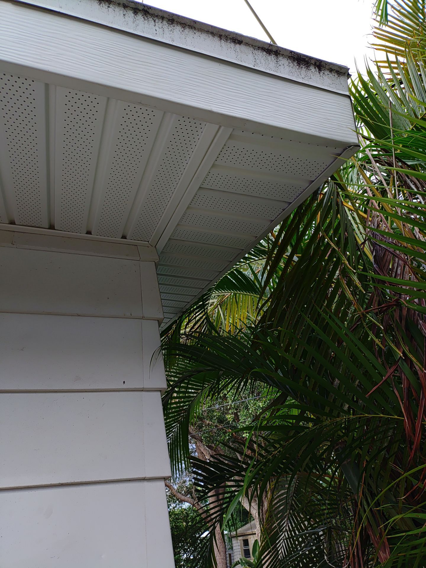 Custom Gutter Guards Installation in Sarasota FL by Gutter Professors