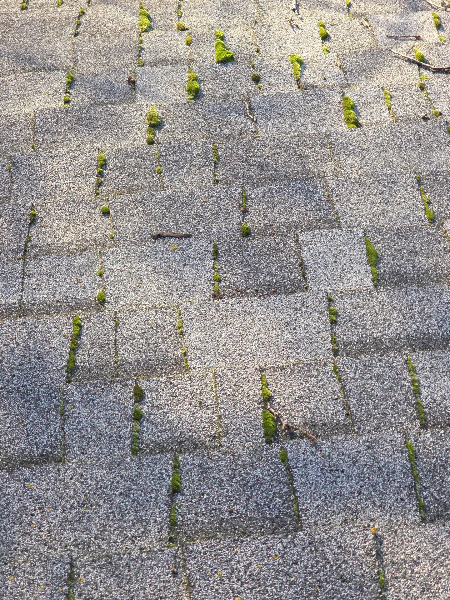 Roof Rejuvenation using Roof Maxx Treatment by Roof Maxx of Folsom