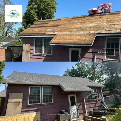 Pewter Gray Shingles