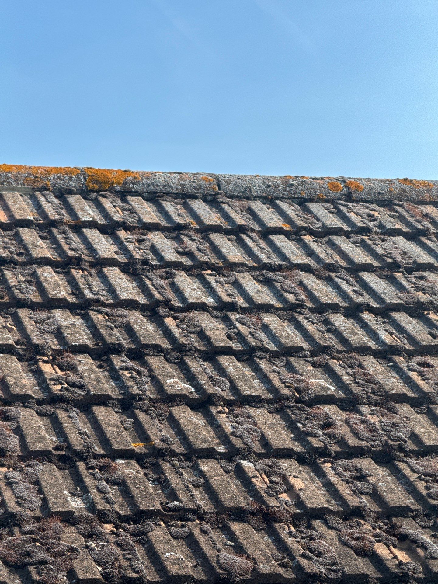 Roof Clean - Biocide Treatment using Honda 15lpm Low Pressure Washing Machine by Ges Exterior Cleaning ltd