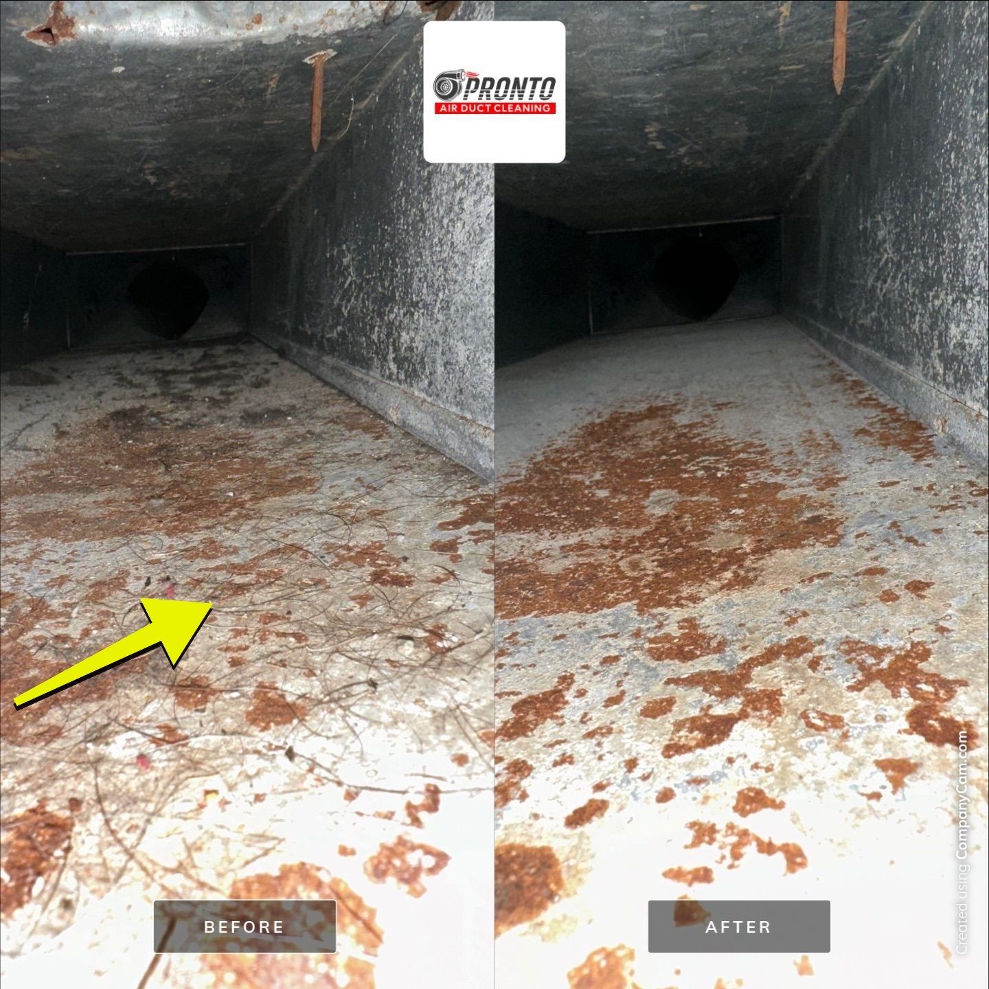 Air duct cleaning & Antimicrobial Treatment by Pronto Air Duct Cleaning