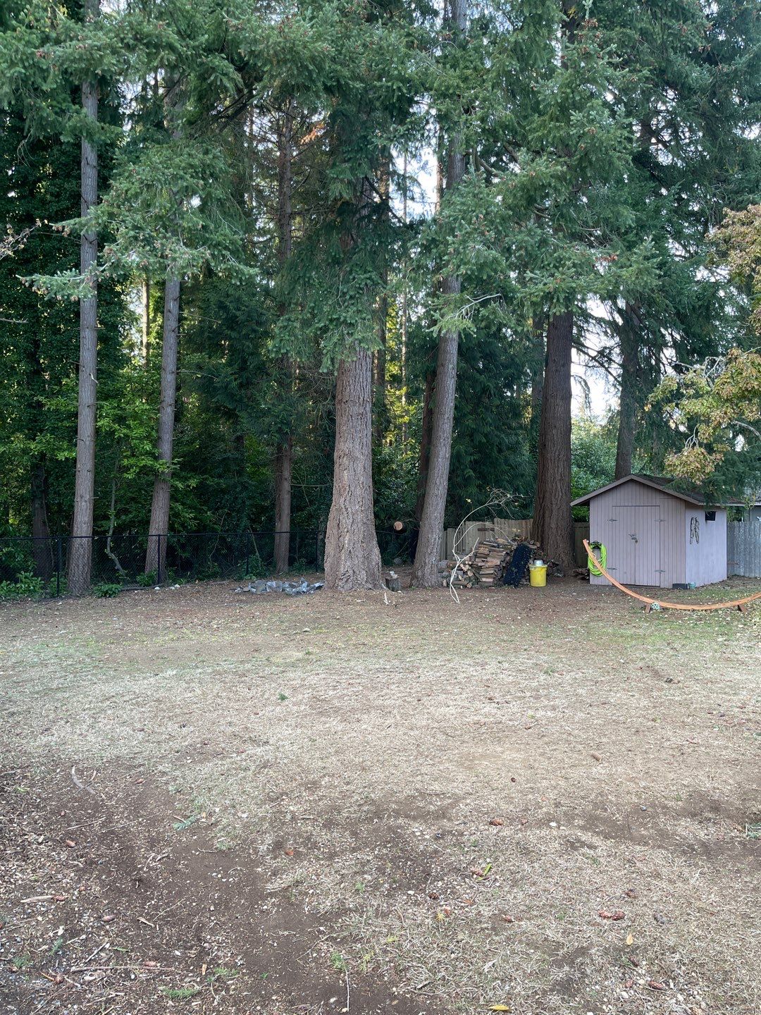 Tree Removal using Tree Removal by Mike Jones & Sons Tree Service LLC 