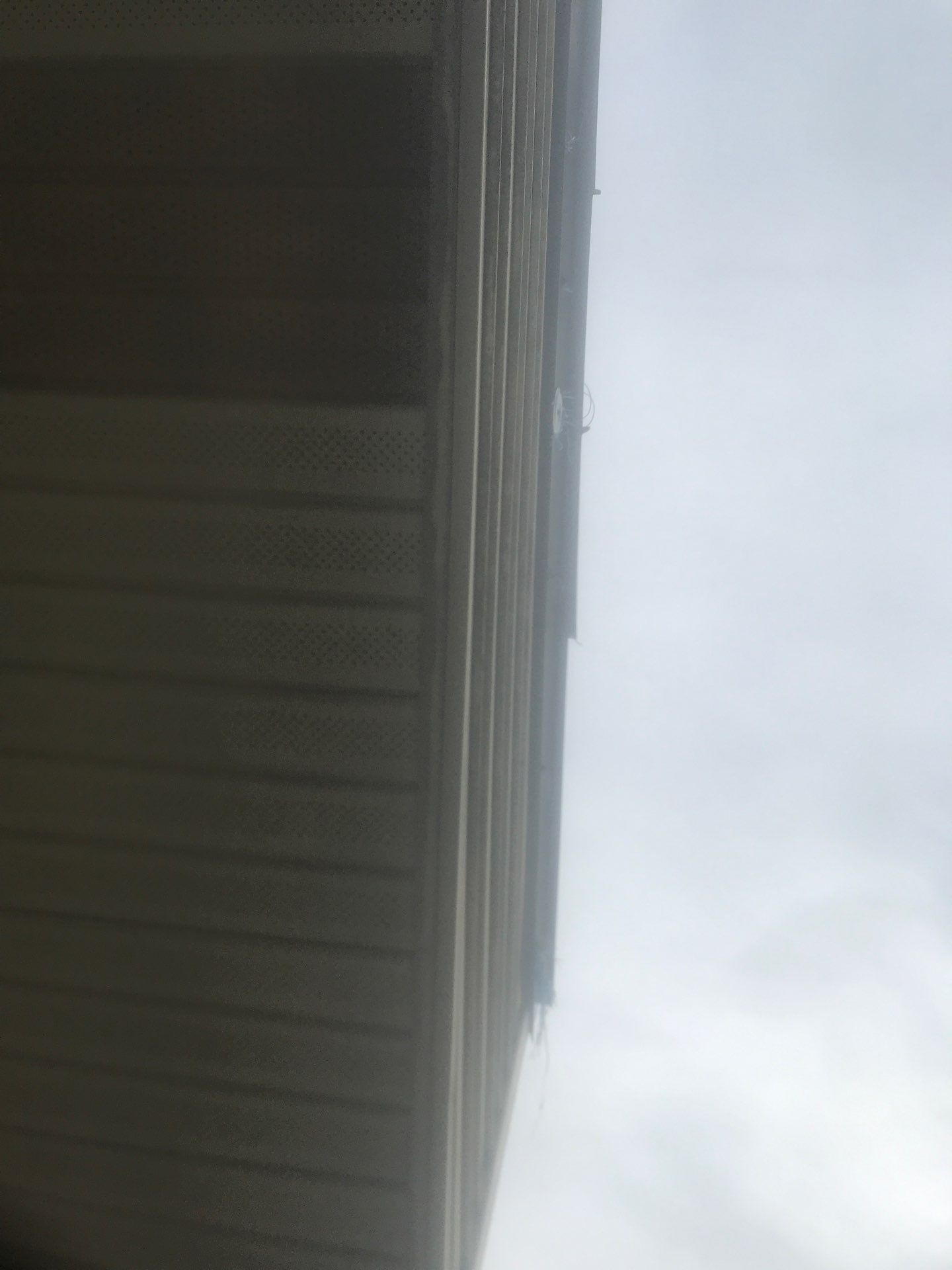 Cameo Gutters using Aluminum Seamless Gutters in Cape Coral FL by Gutter Professors