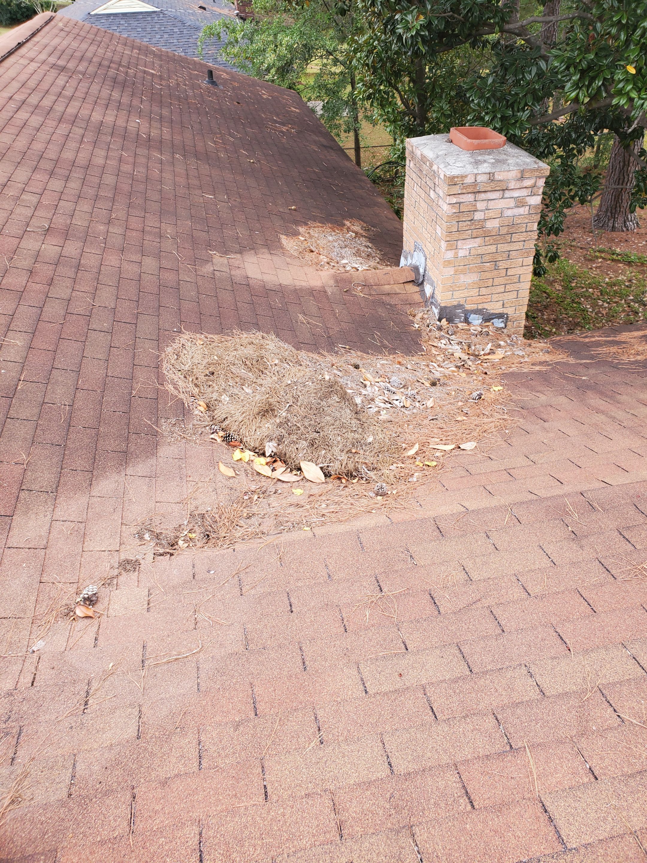 Residential Leak Repair  by Indigo State Roofing