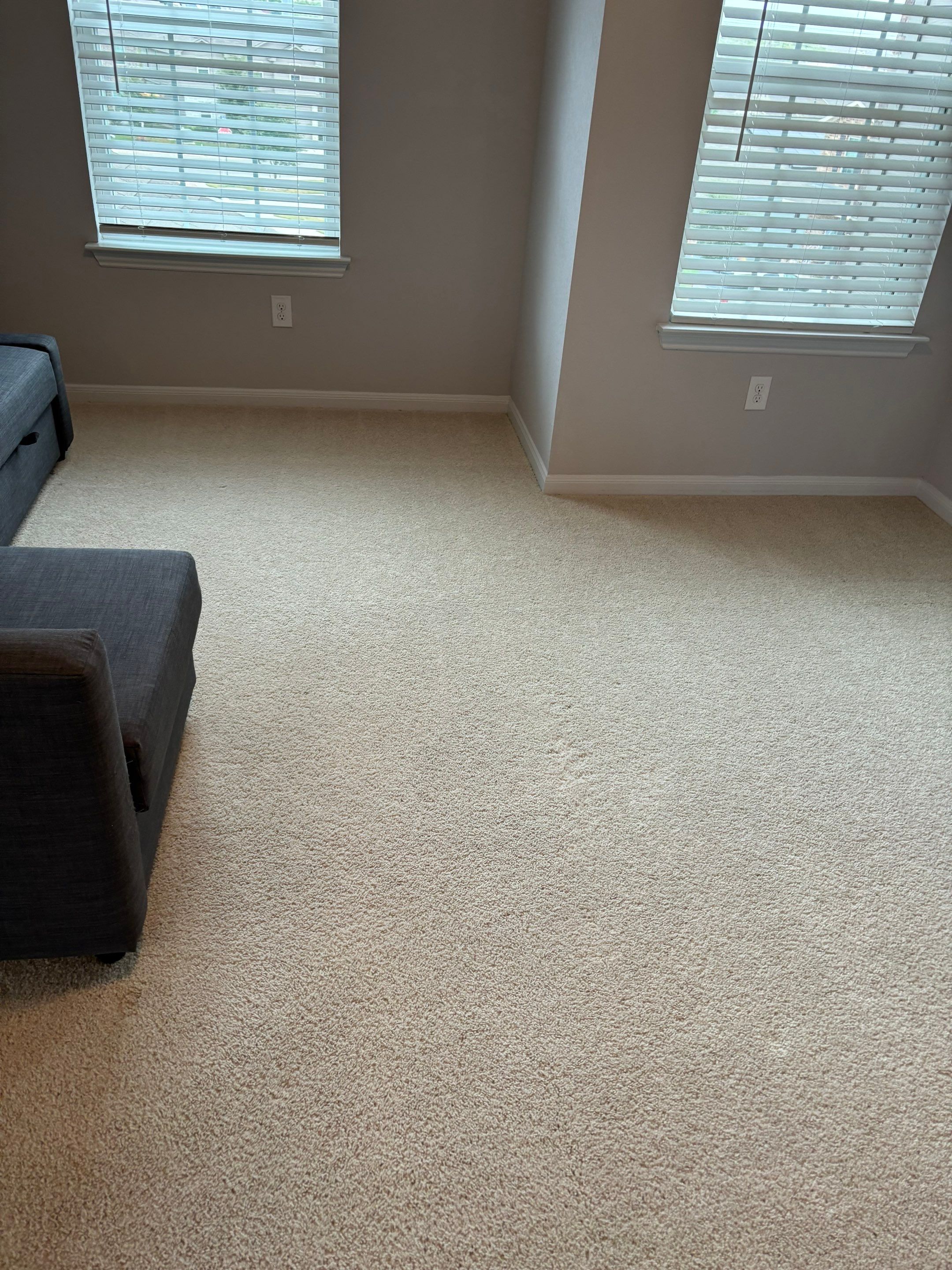 the service being done is carpet cleaning in a residential living area with light colored carpet and natural light