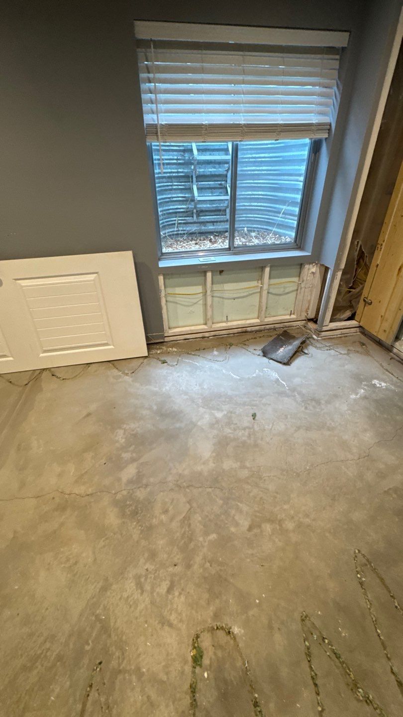 Mold Project in Thornton by Accountable Home Services