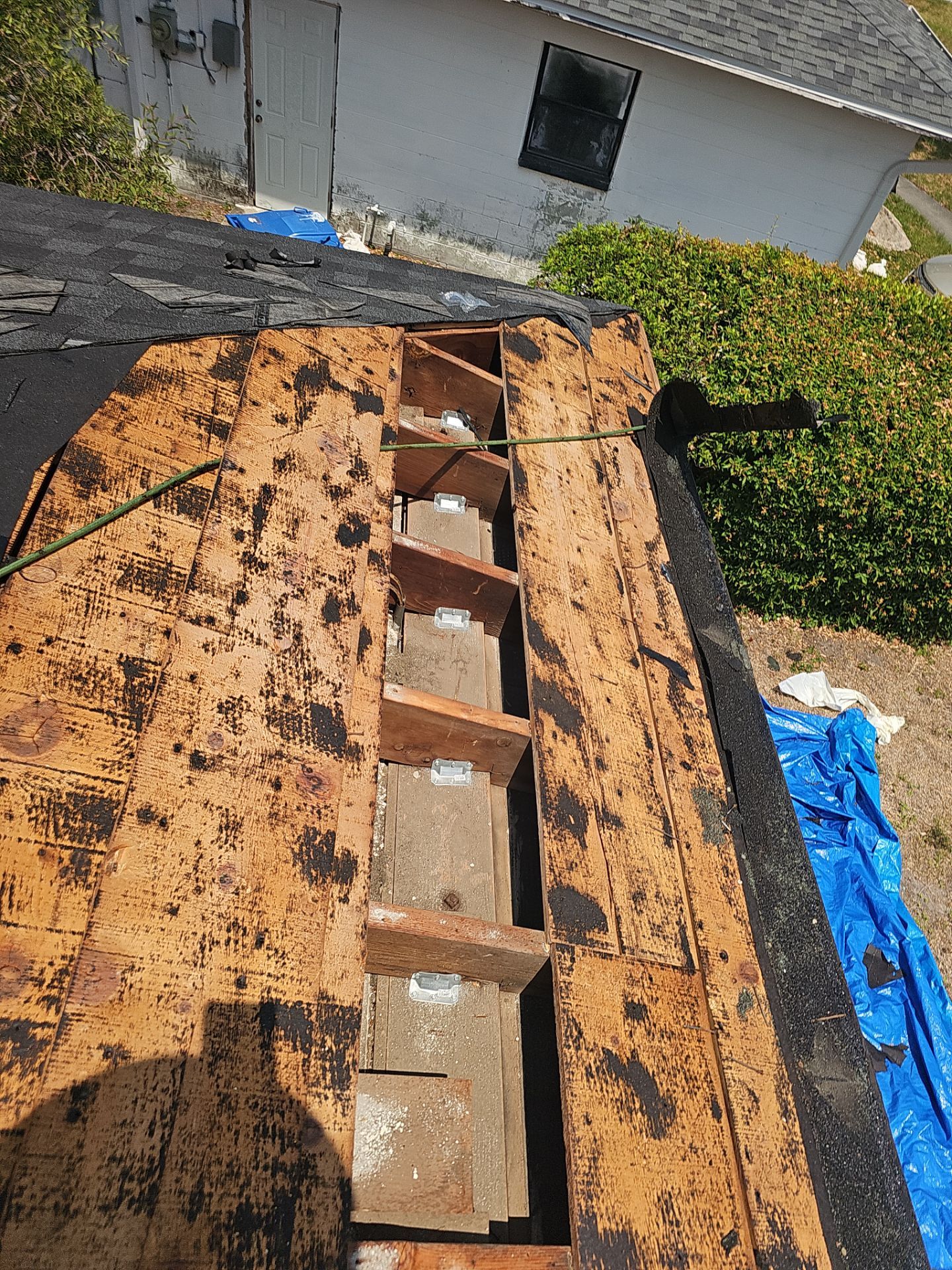 Project in St. Petersburg 33705 by Mitchell Roofing Company LLC 