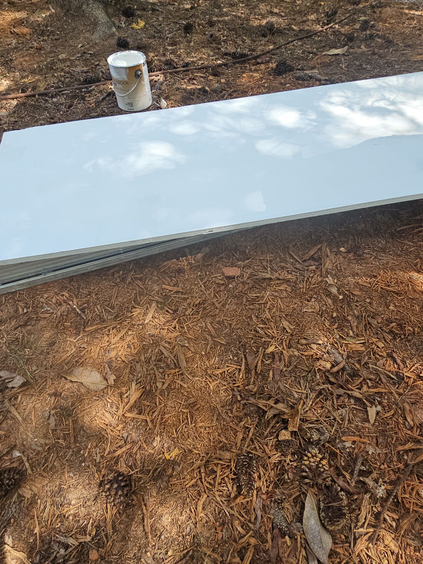 Exterior Transformation in Jonhs Creek by Atlanta's Paint Doctor