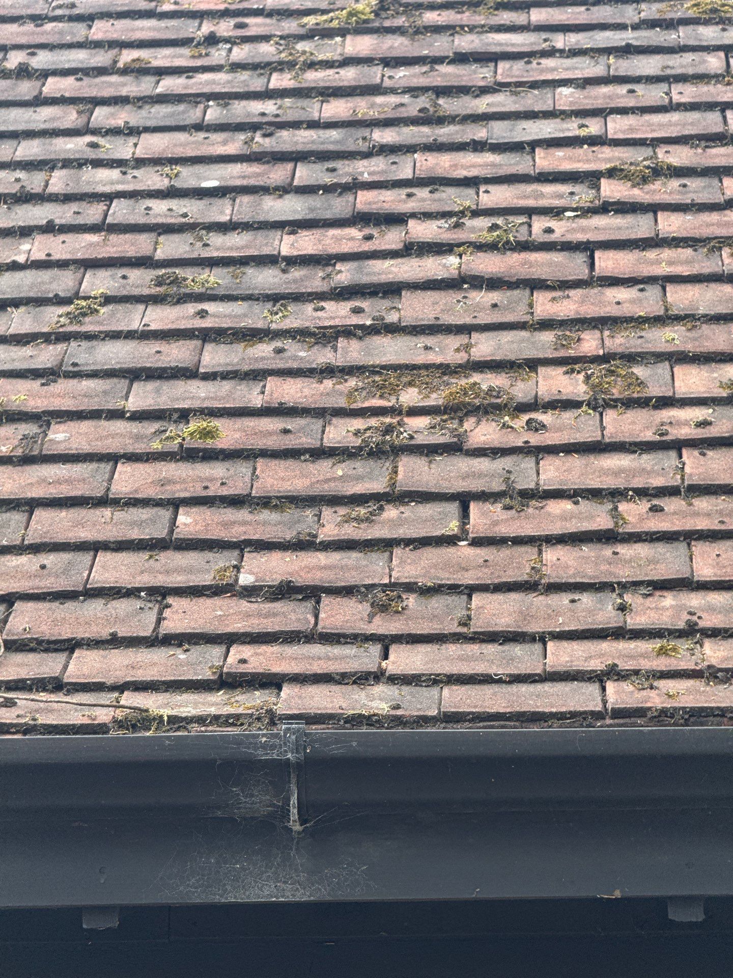 Roof Clean - Patio Clean using 18inch Whirlaway FSC by Ges Exterior Cleaning ltd