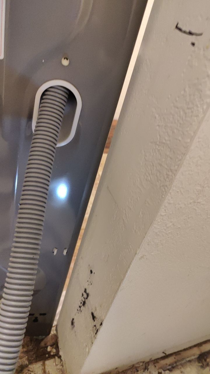 Water Damage  by Accountable Home Services